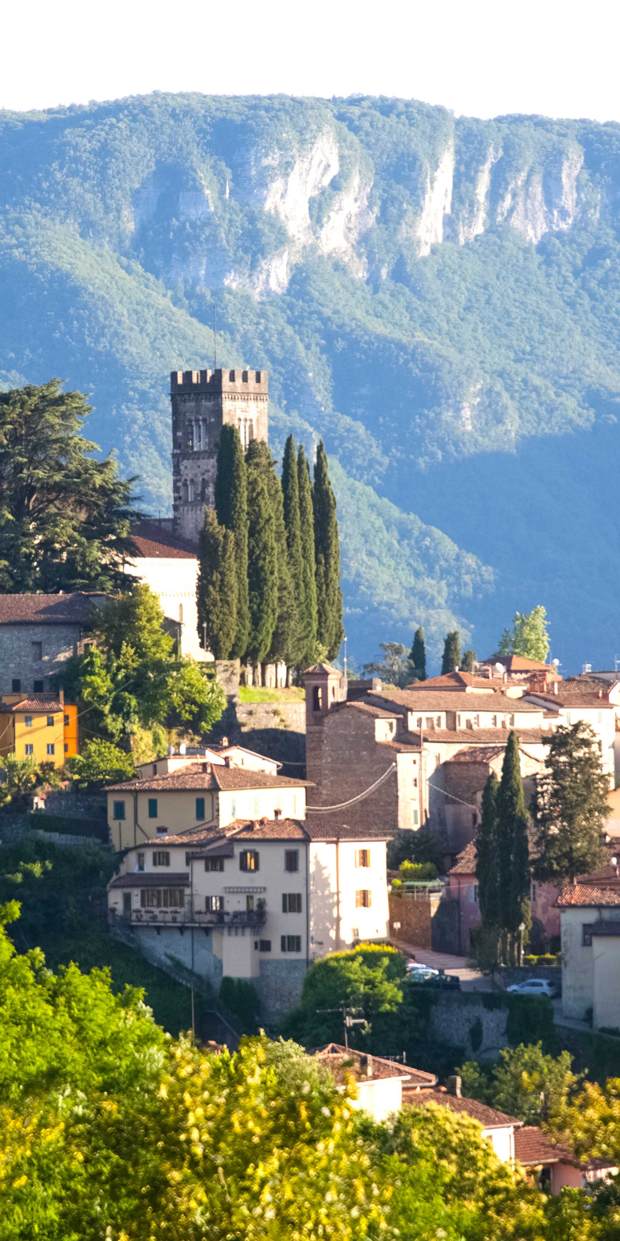 Barga