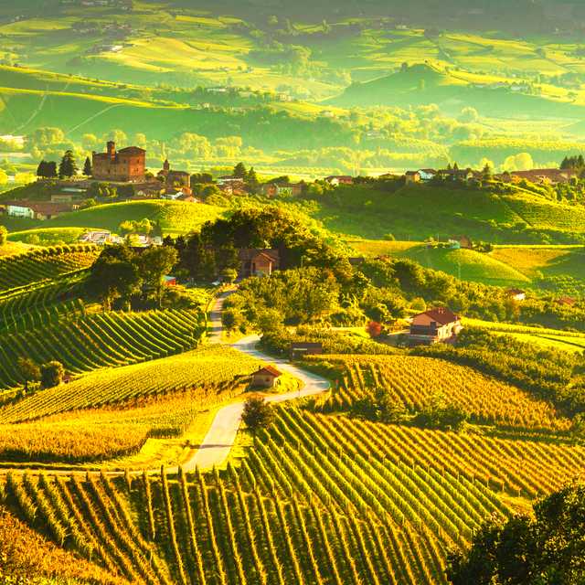 Turin to Barolo: Private day trip