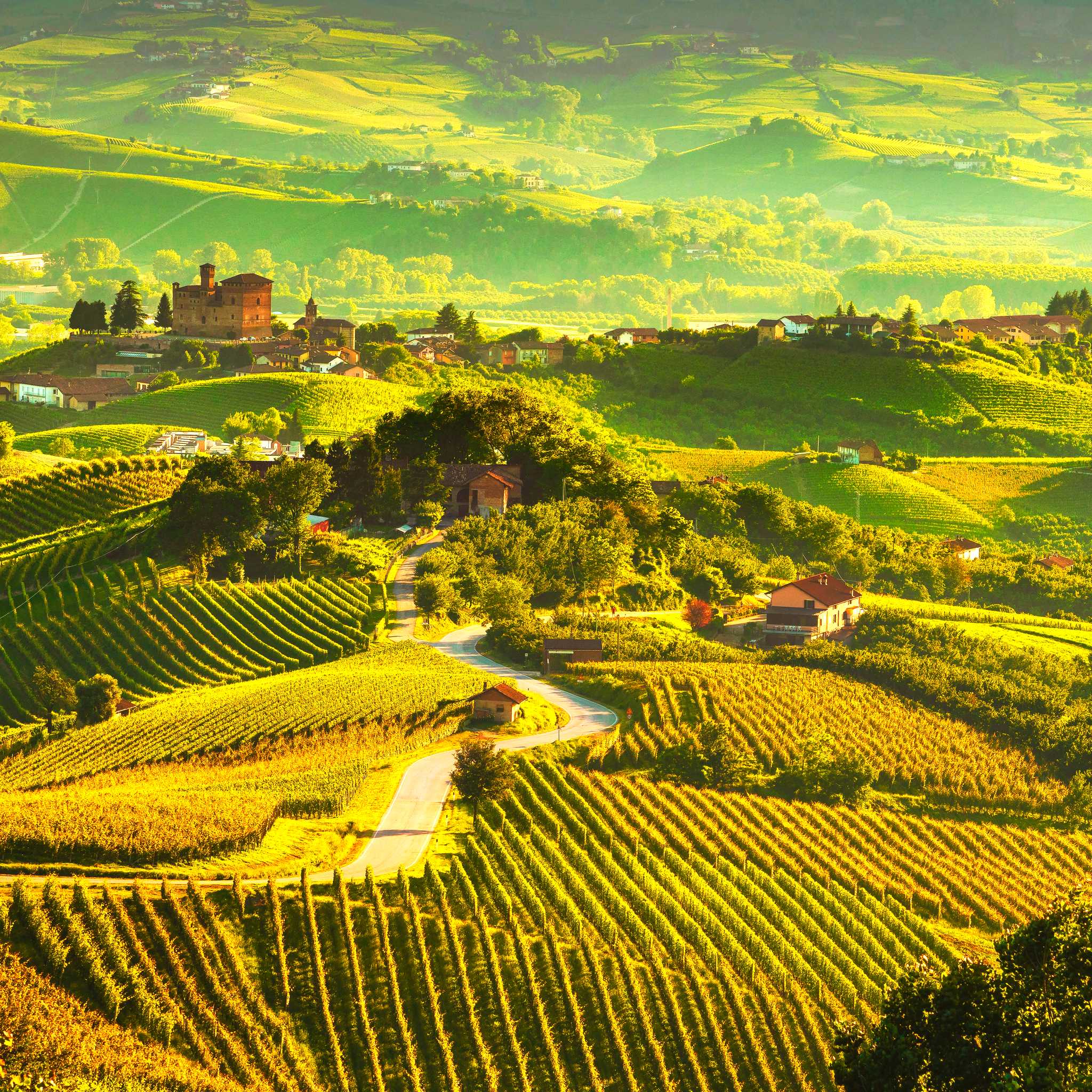 Barolo, Italien