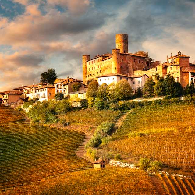Turin to the Lazio wine region: Private day trip