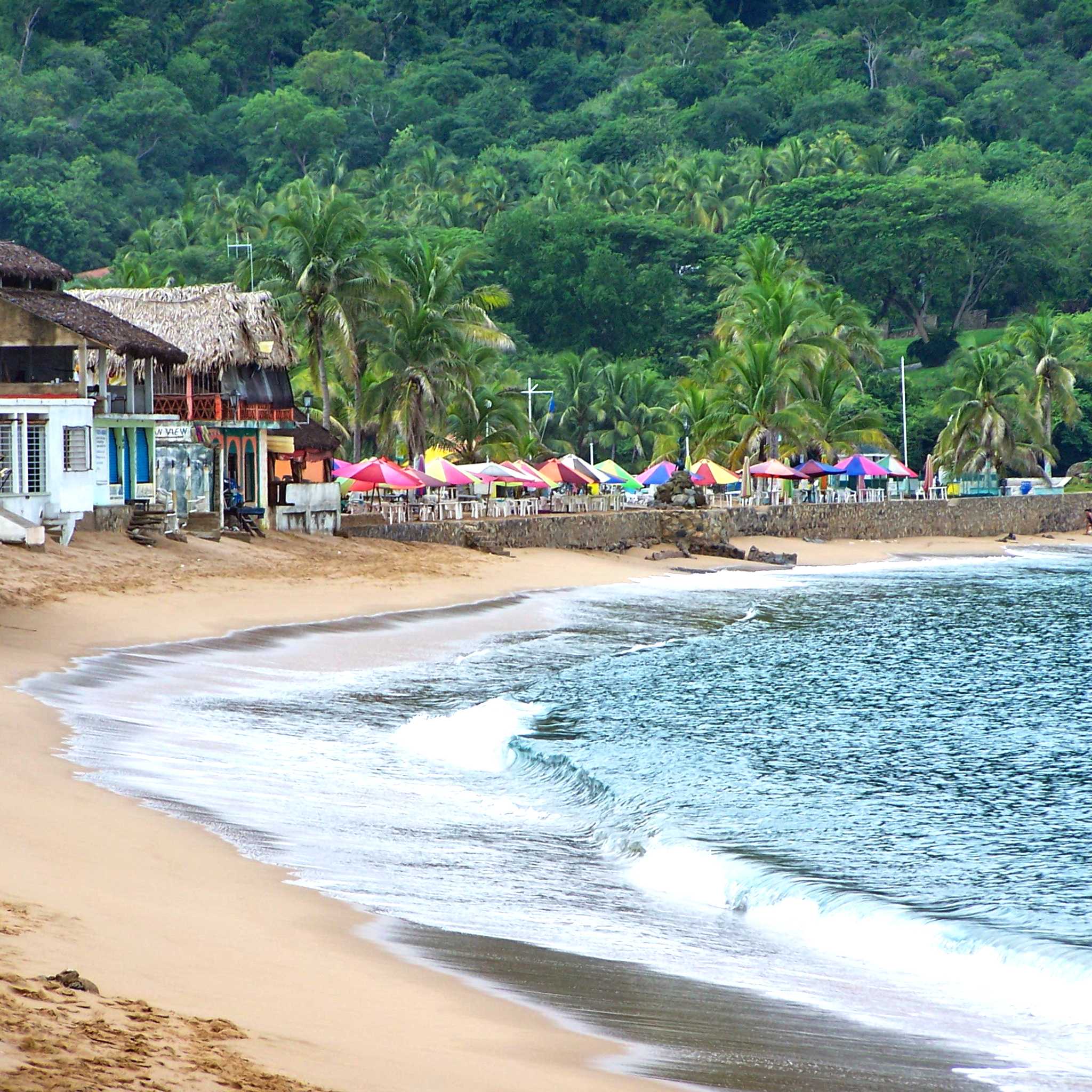 Barra de Navidad