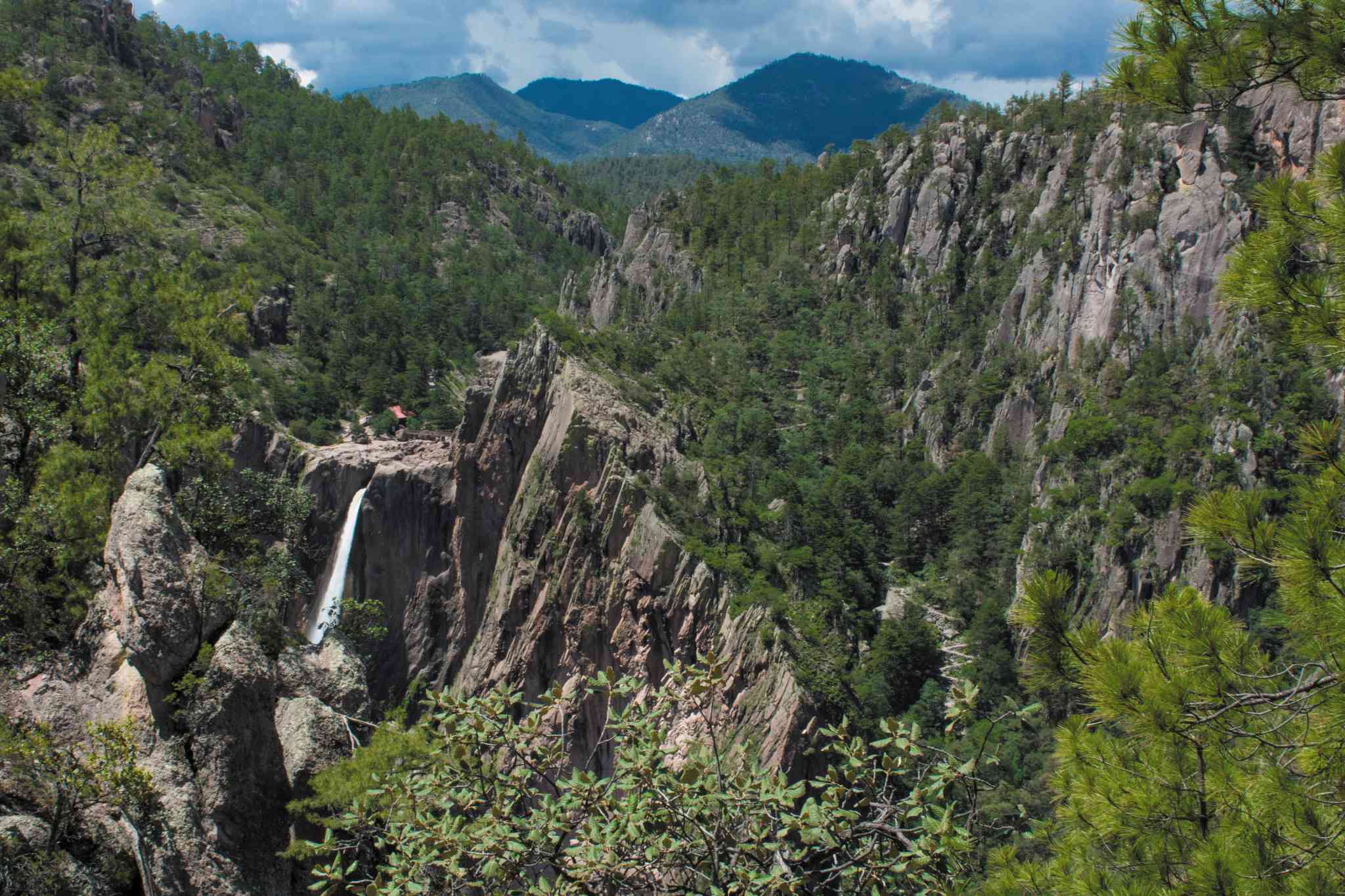 Scenic view of Basaseachic Falls National Park - private day trip from Chihuahua City - photo 3