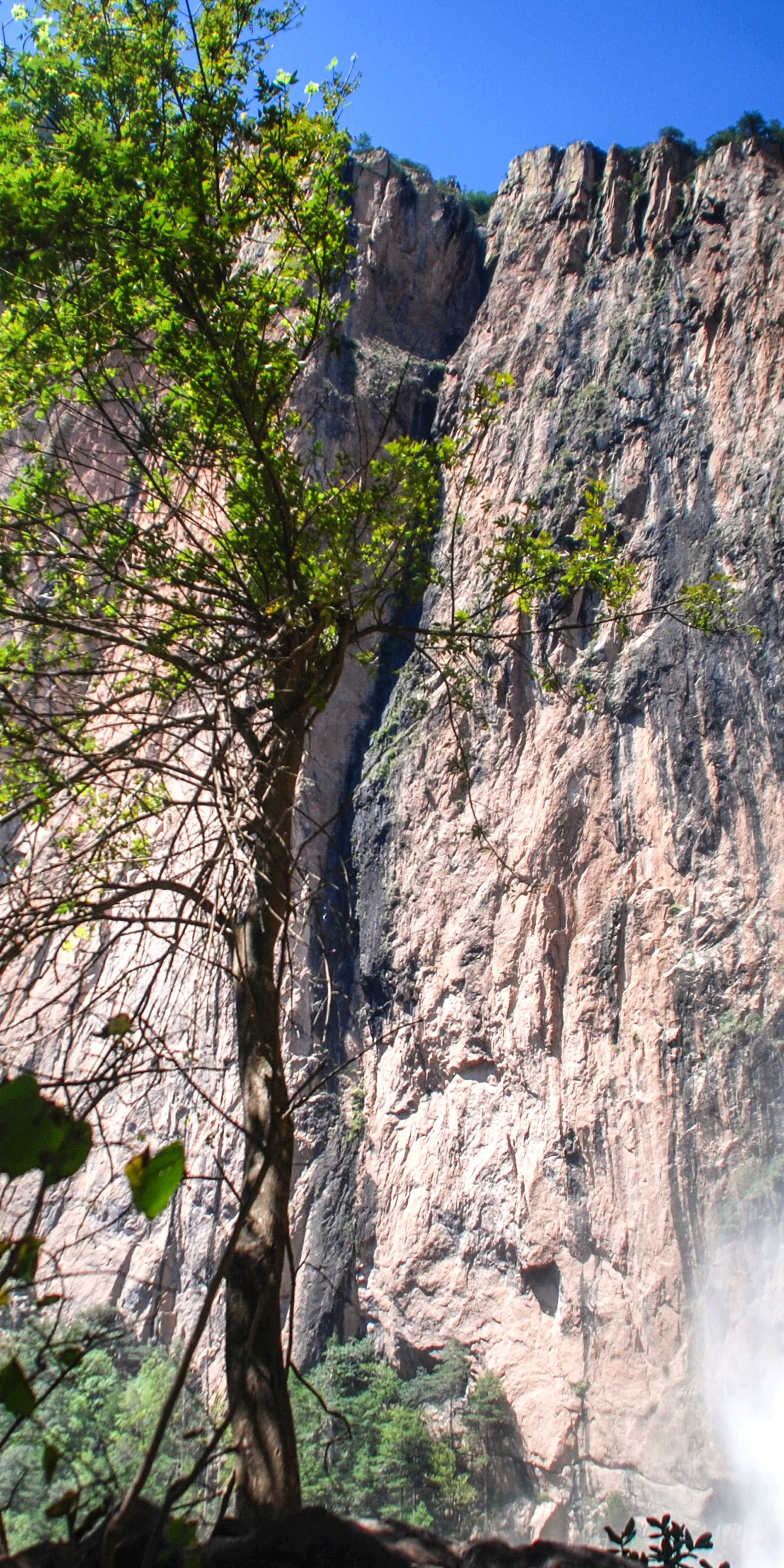 Basaseachic Falls National Park
