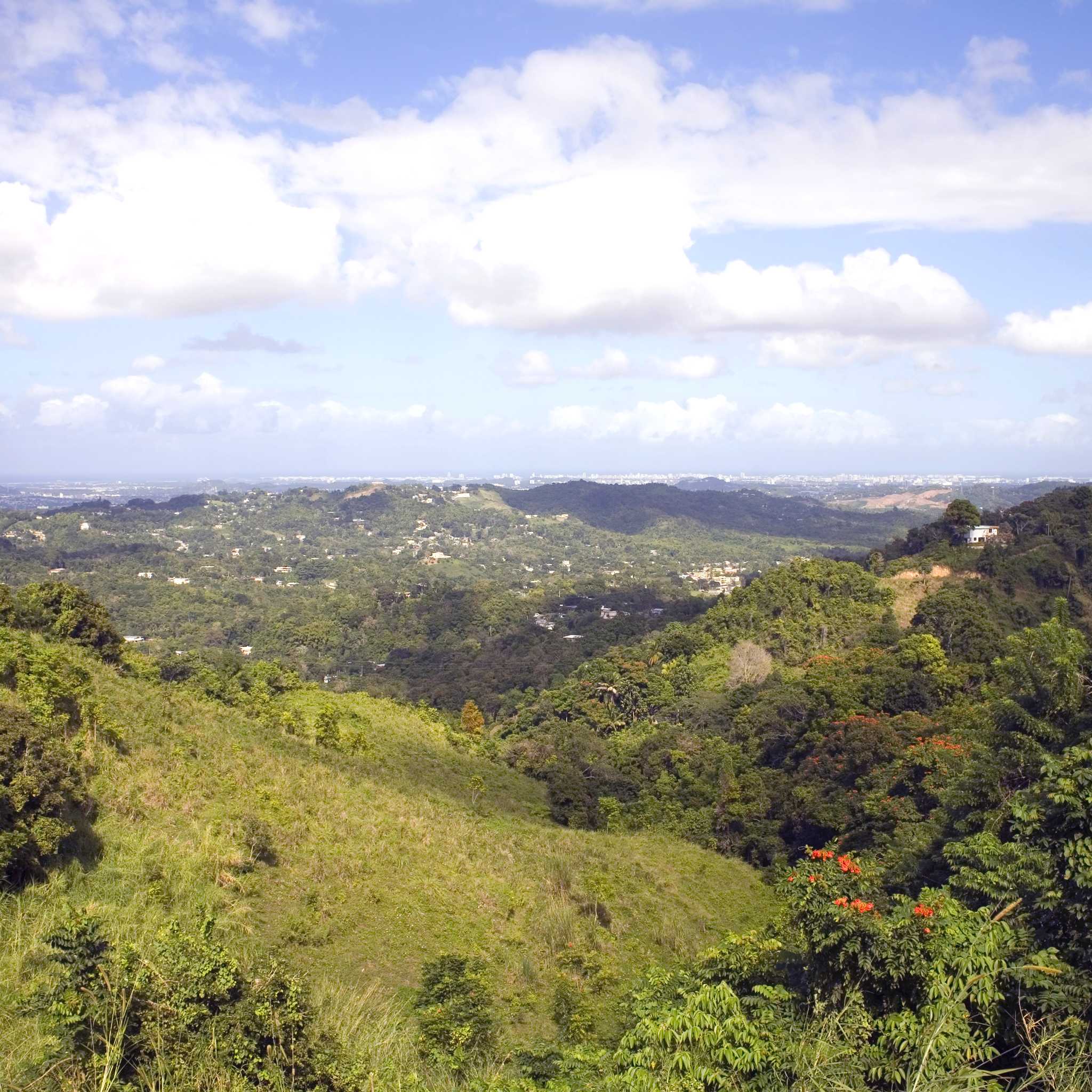 Private car transfers in Puerto Rico from Bayamon