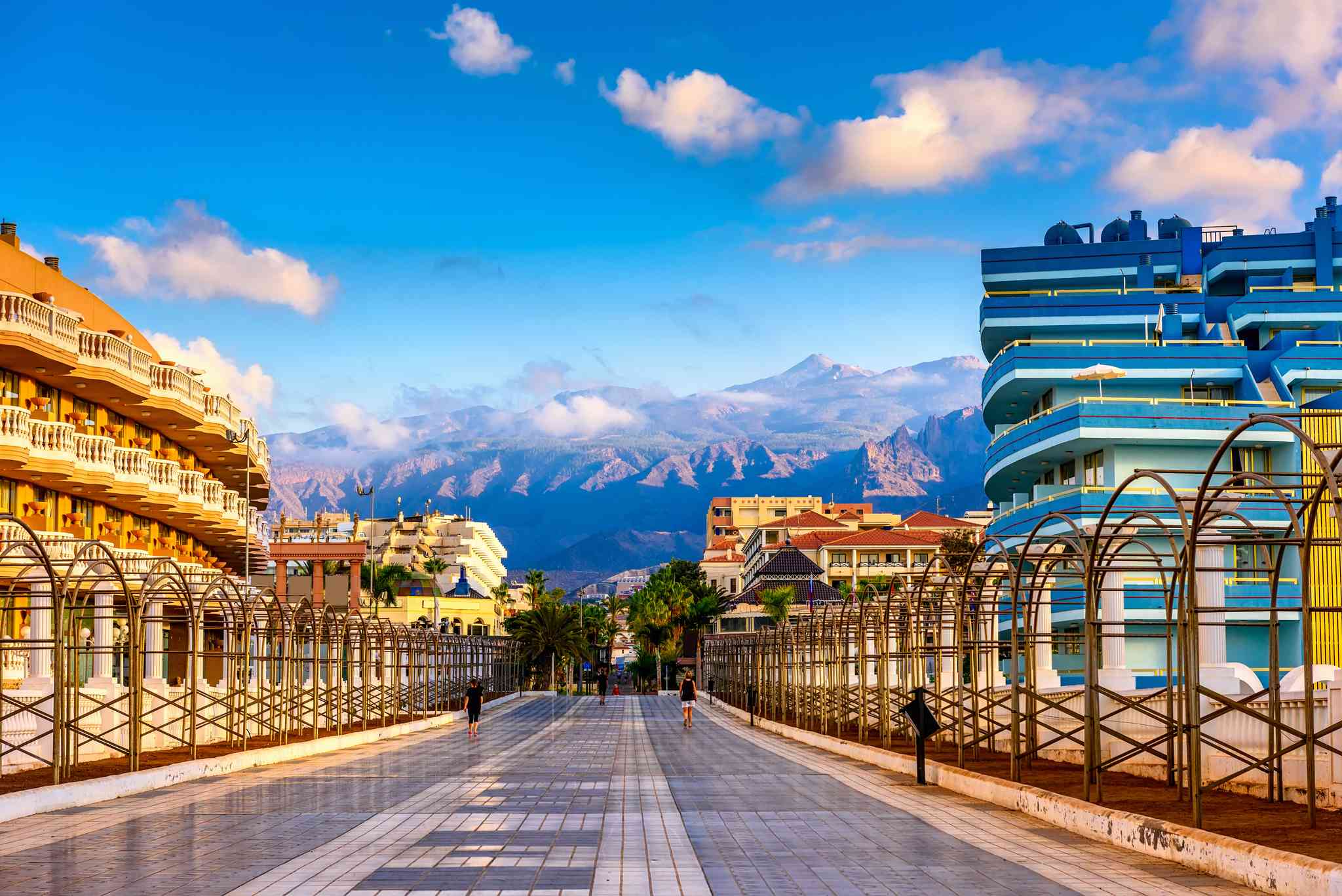 Tenerife South Airport 의 경치 - Playa de las Americas 에서 출발하는 개인 day trip - 사진 3