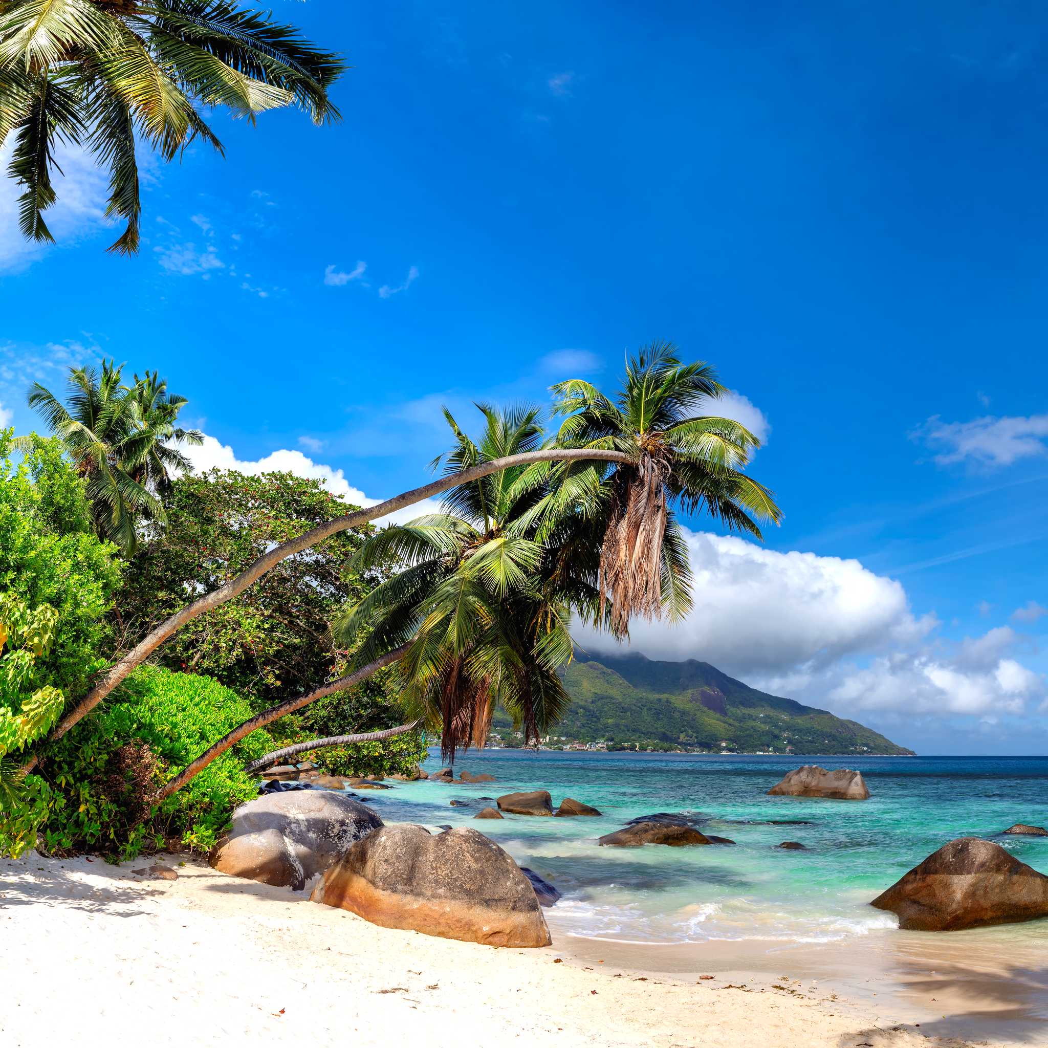 Private car transfers in Seychelles from Beau Vallon, Seychelles