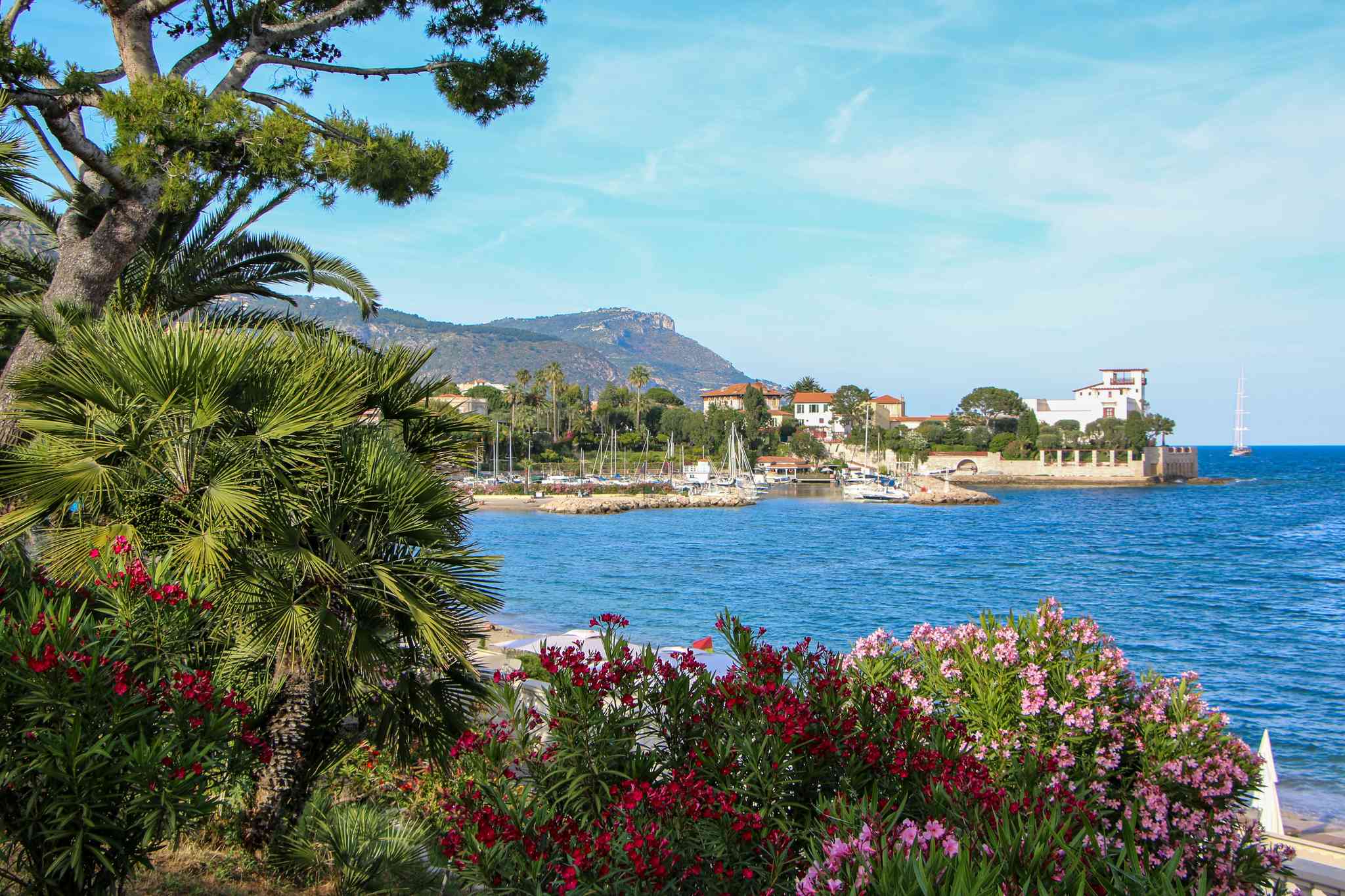 Blick auf die Landschaft von Nice - private Tagesreise von Nice - Foto 4