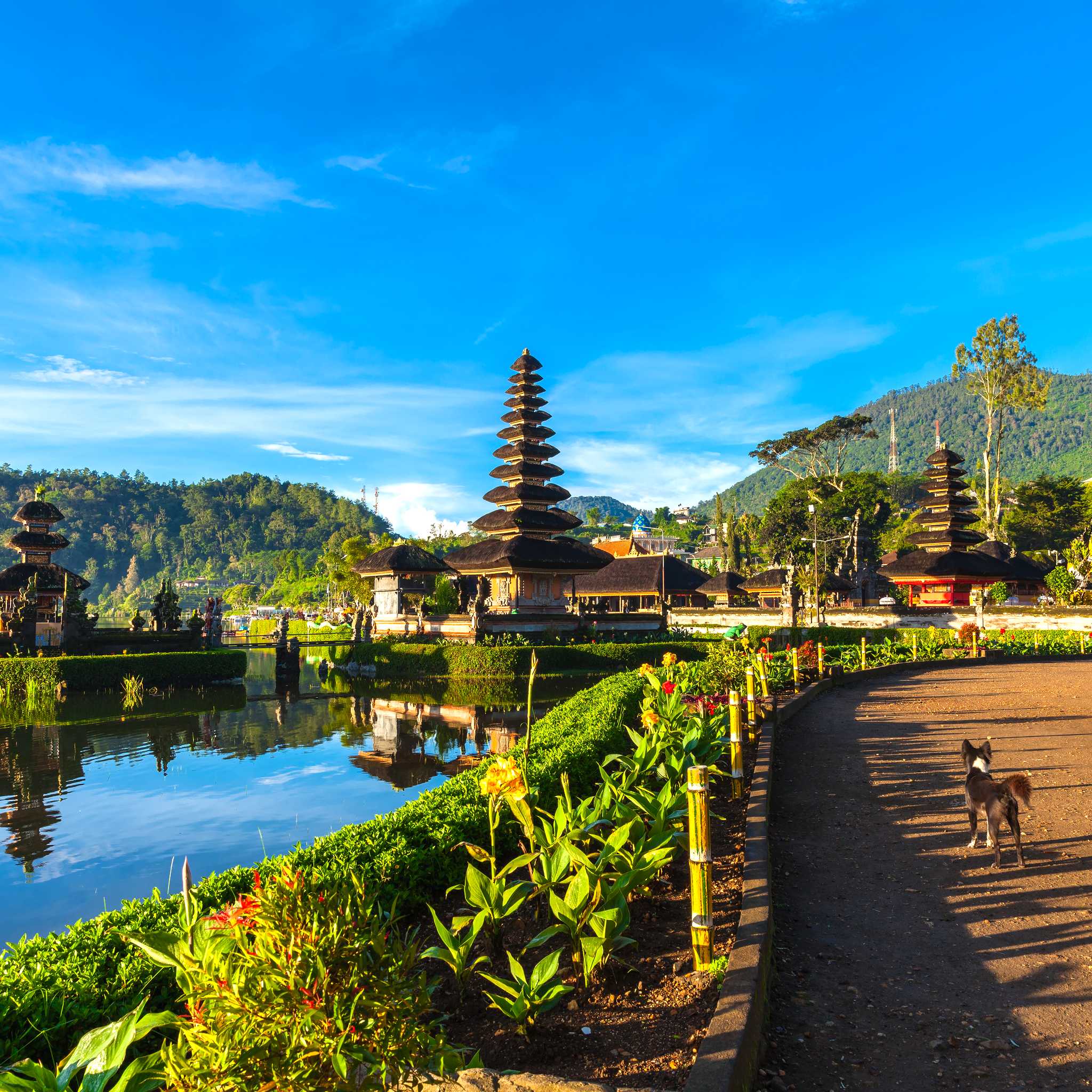 Bedugul