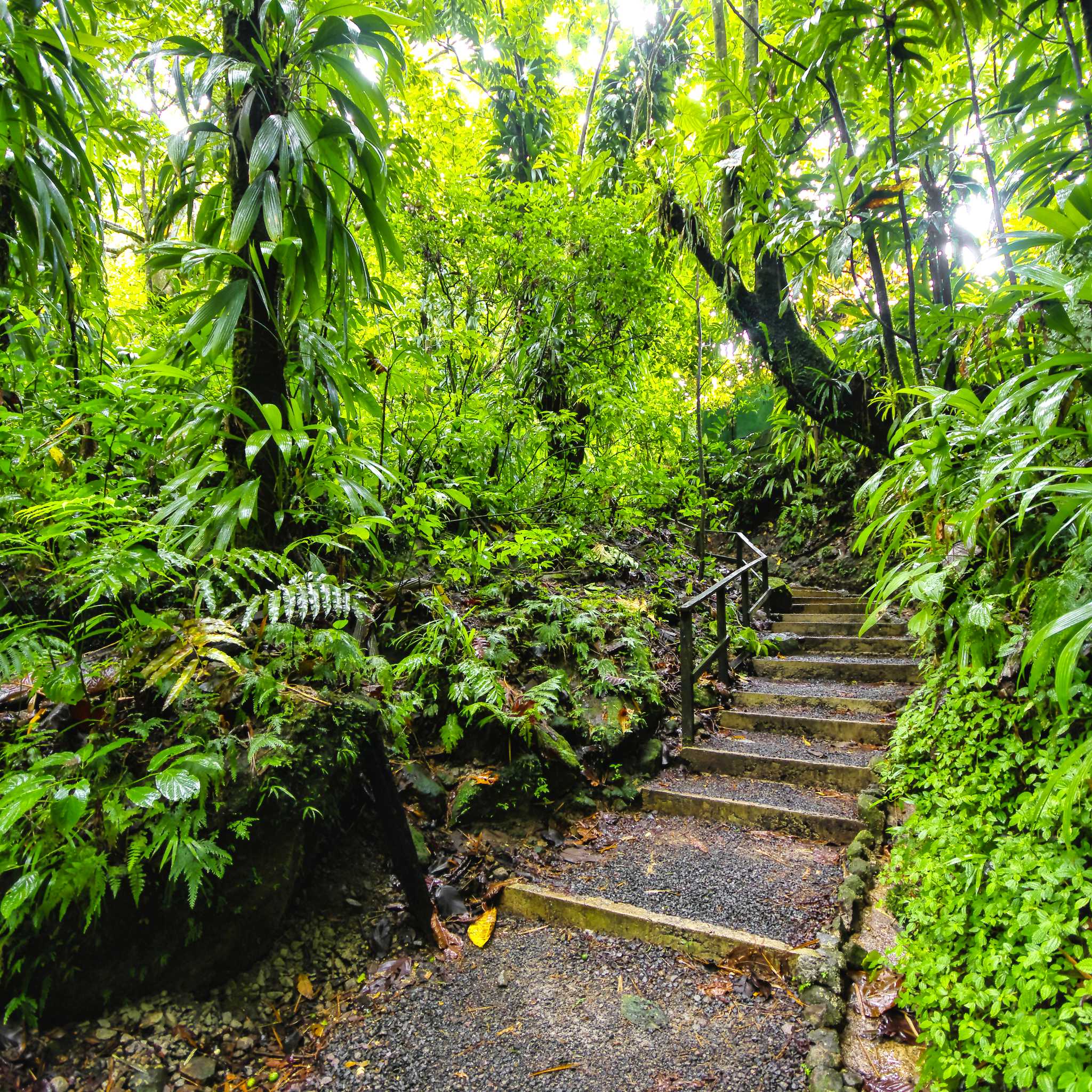 Private car transfers in Saint Lucia from Belle Vue, St. Lucia