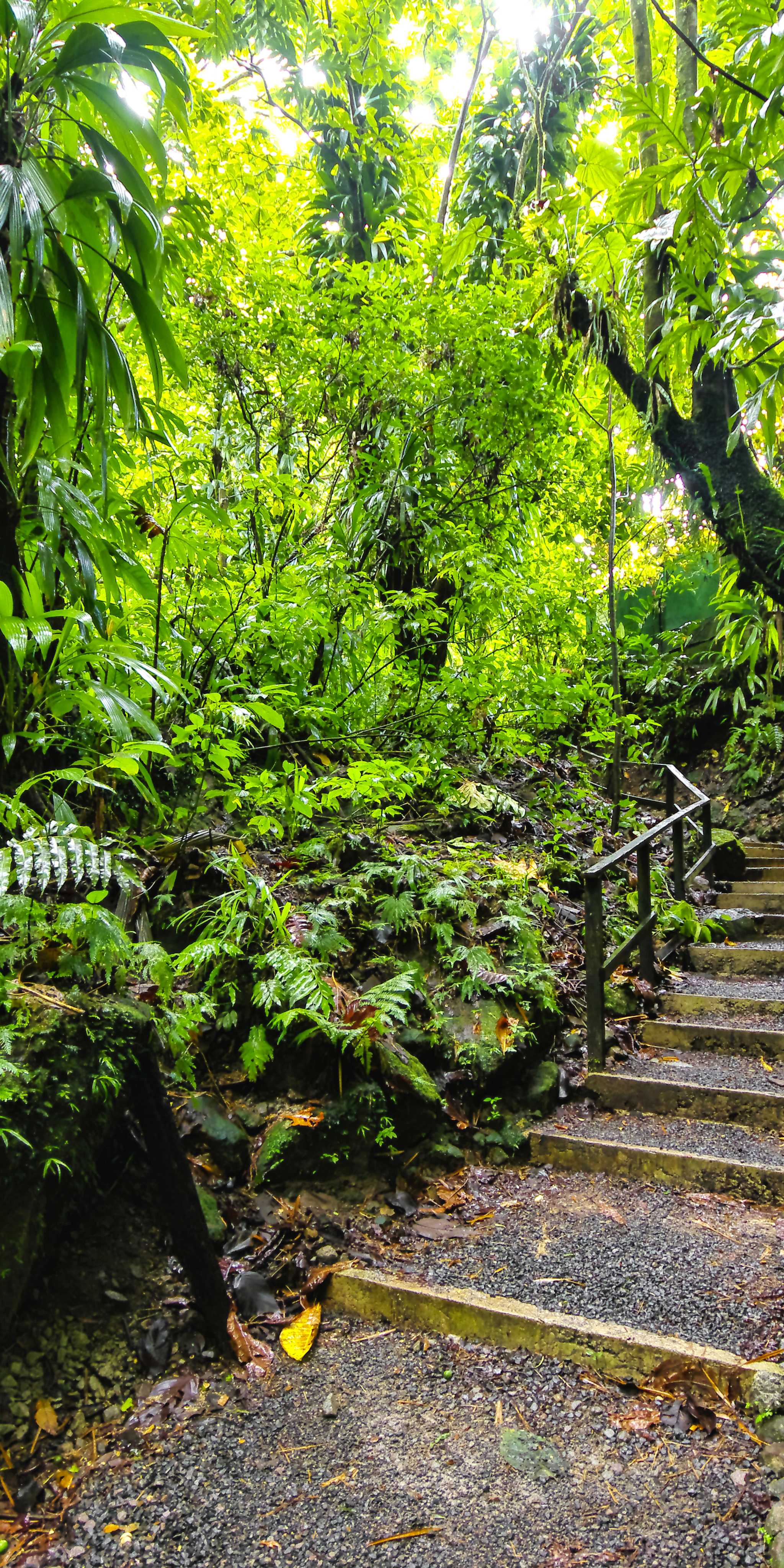 Belle Vue, St. Lucia