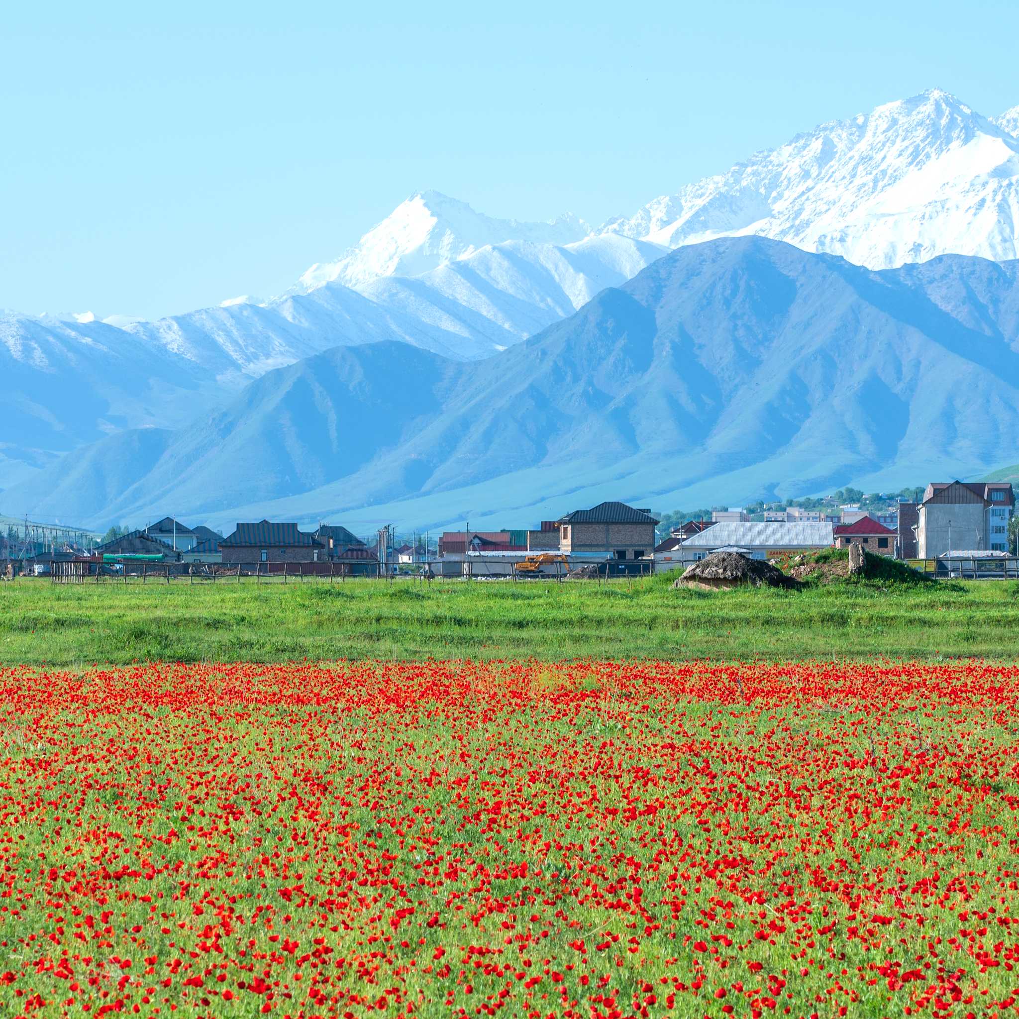 Private car transfers in Kyrgyzstan from Belovodskoe