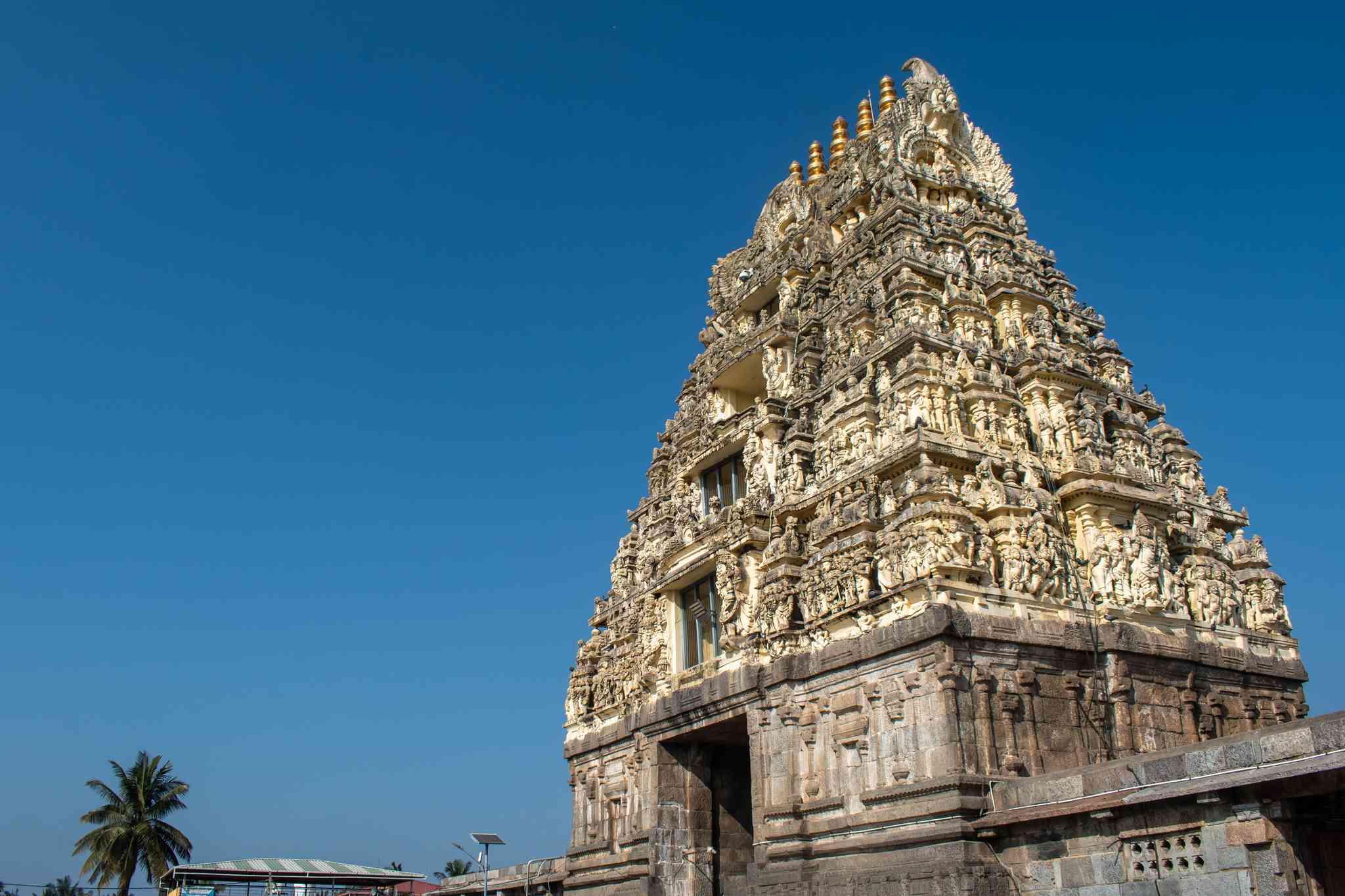 Belur 의 경치 - Bangalore 에서 출발하는 개인 day trip - 사진 3