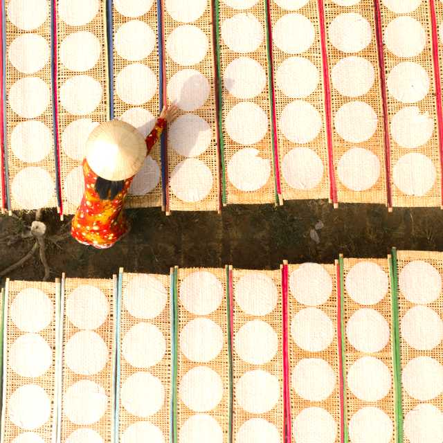 Ho Chi Minh to Ben Tre and My Tho: Private day trip