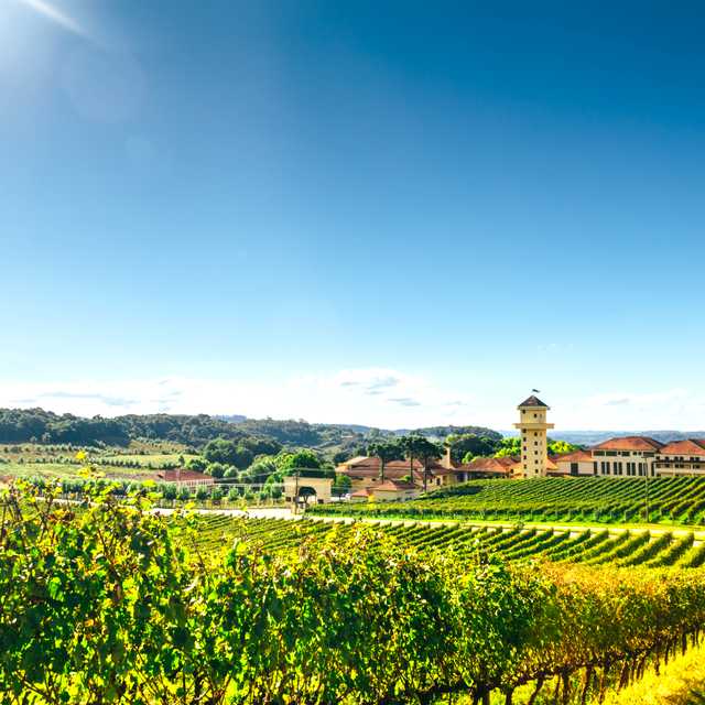 Porto Alegre to Bento Goncalves and Caxias do Sul: Day trip