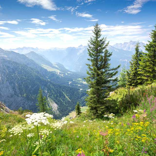 Passau to Salzburg and Berchtesgaden Eagles Nest: Day trip