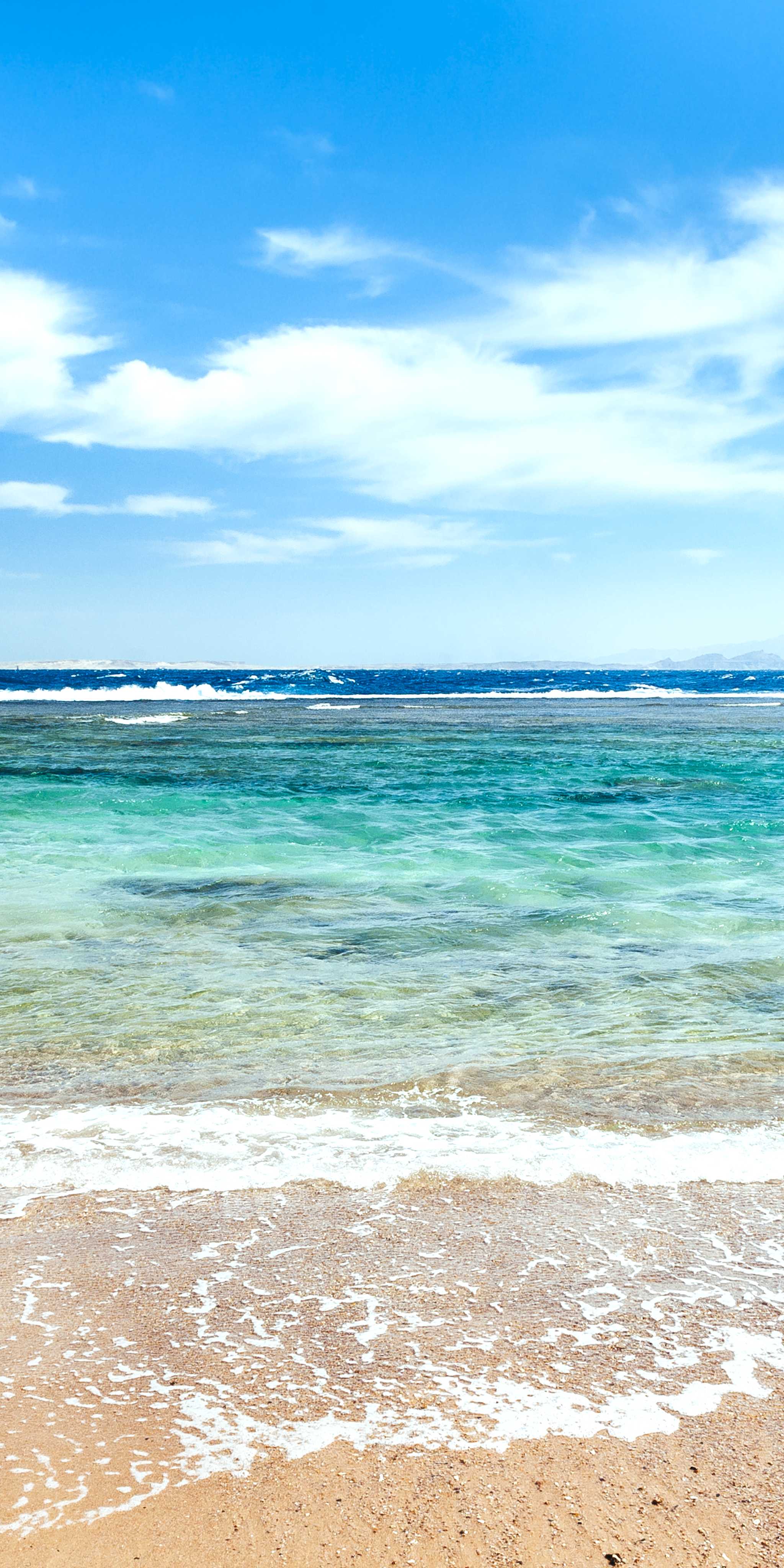 Berenice Troglodytica