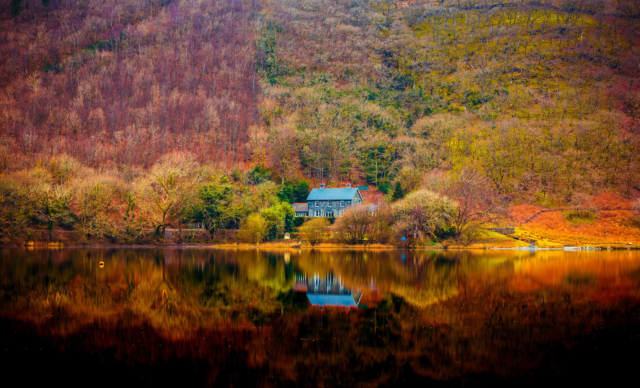 A wooden cabin sits on the shores of a lake surrounded by fall foliage and fog.