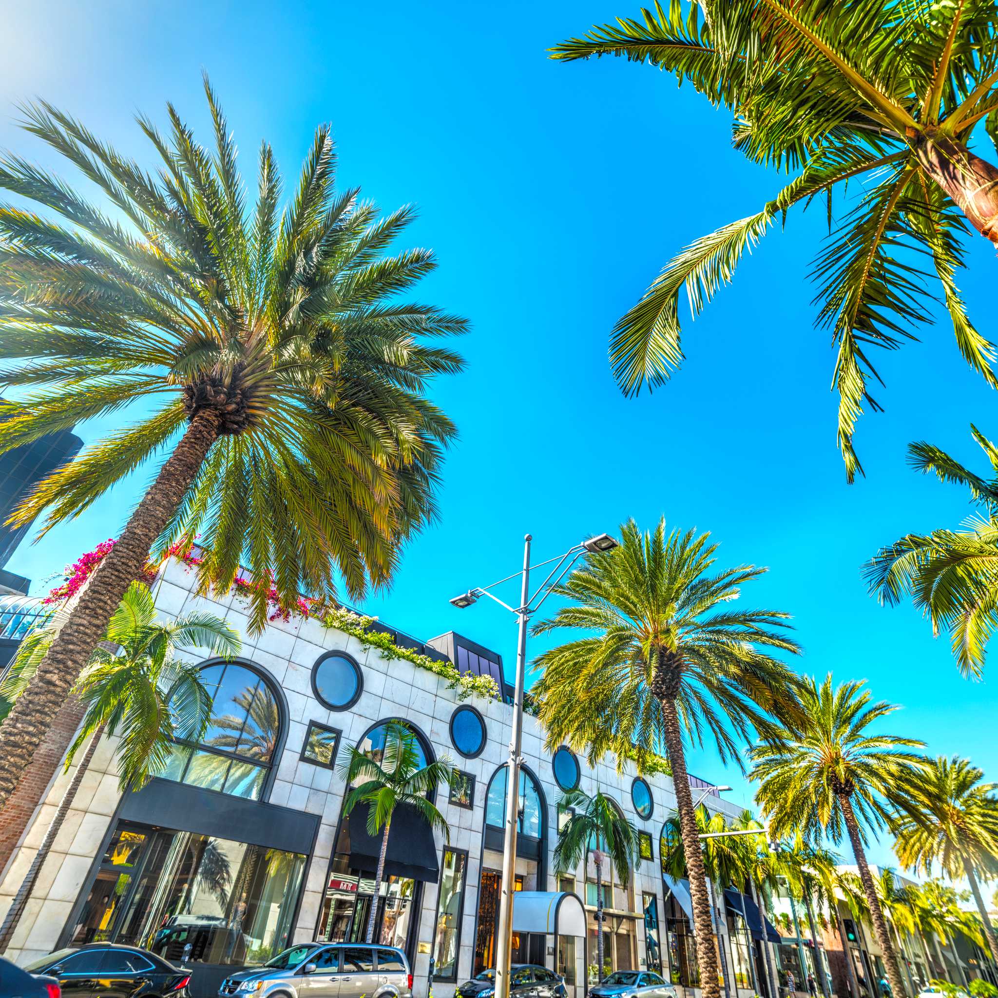 Private car transfers in United States from Beverly Hills