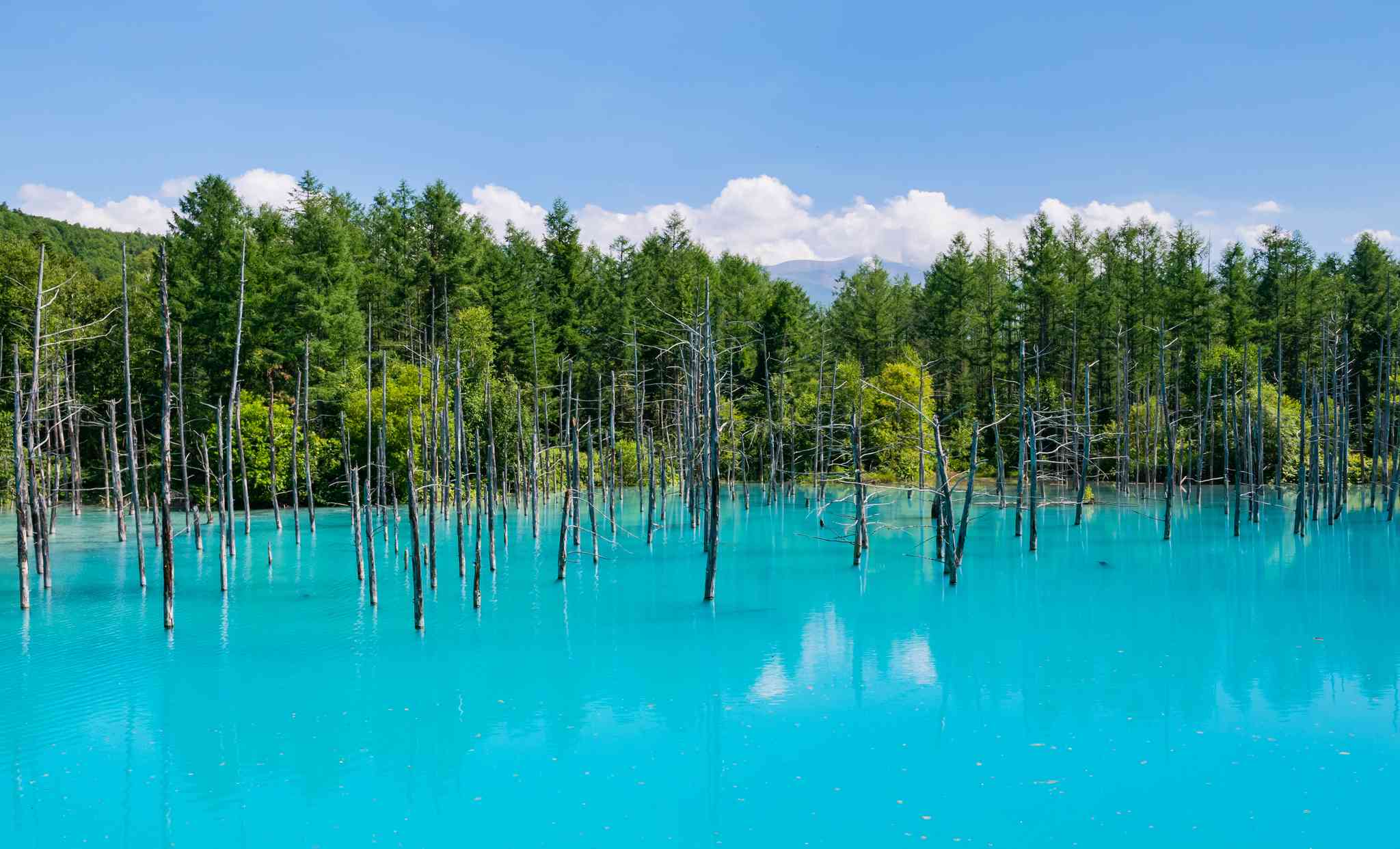 Blick auf die Landschaft von Biei - private Tagesreise von Sapporo - Foto 2