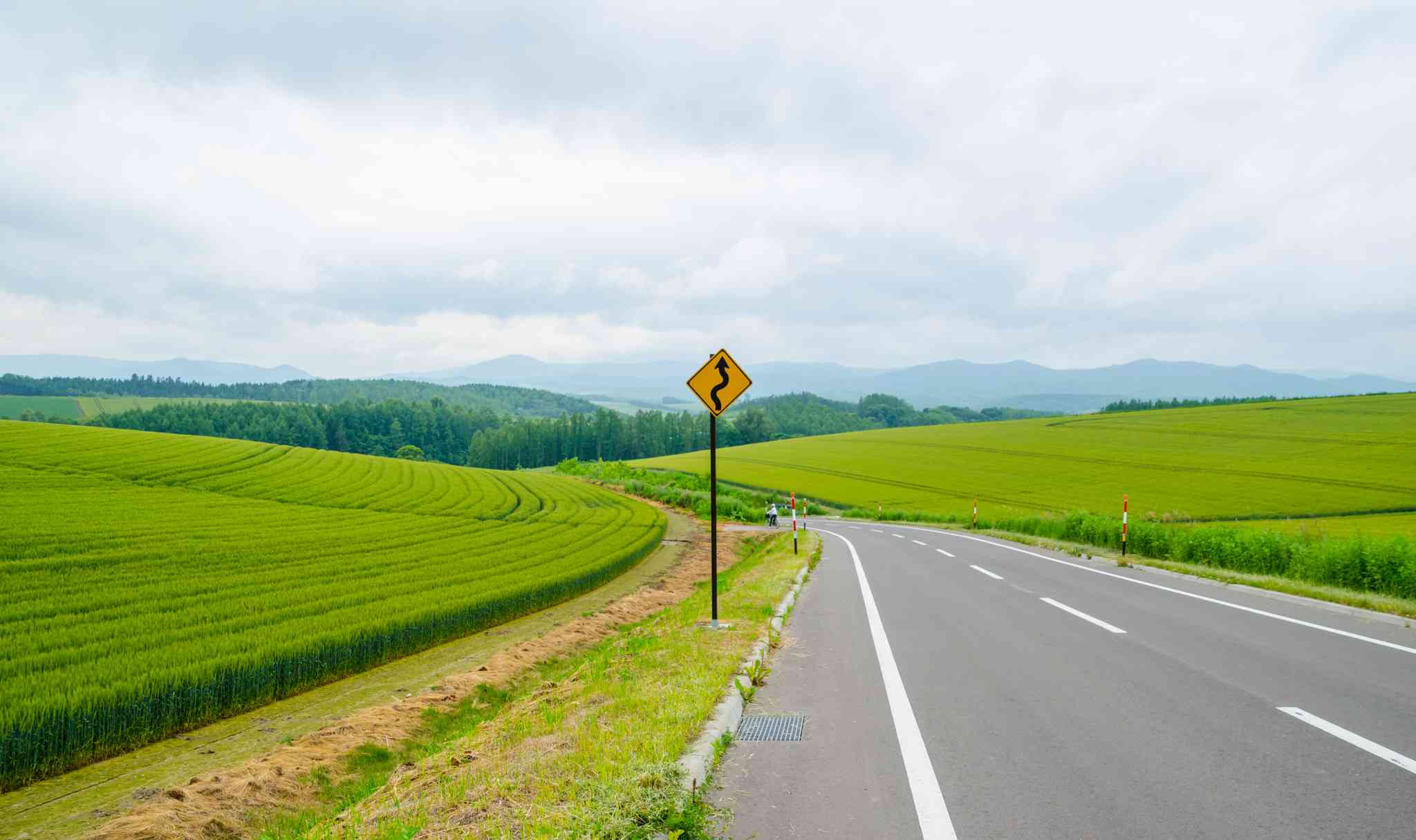 Vista panorĆ”mica de Sapporo - excursión privada de un dĆa desde Sapporo - foto 4