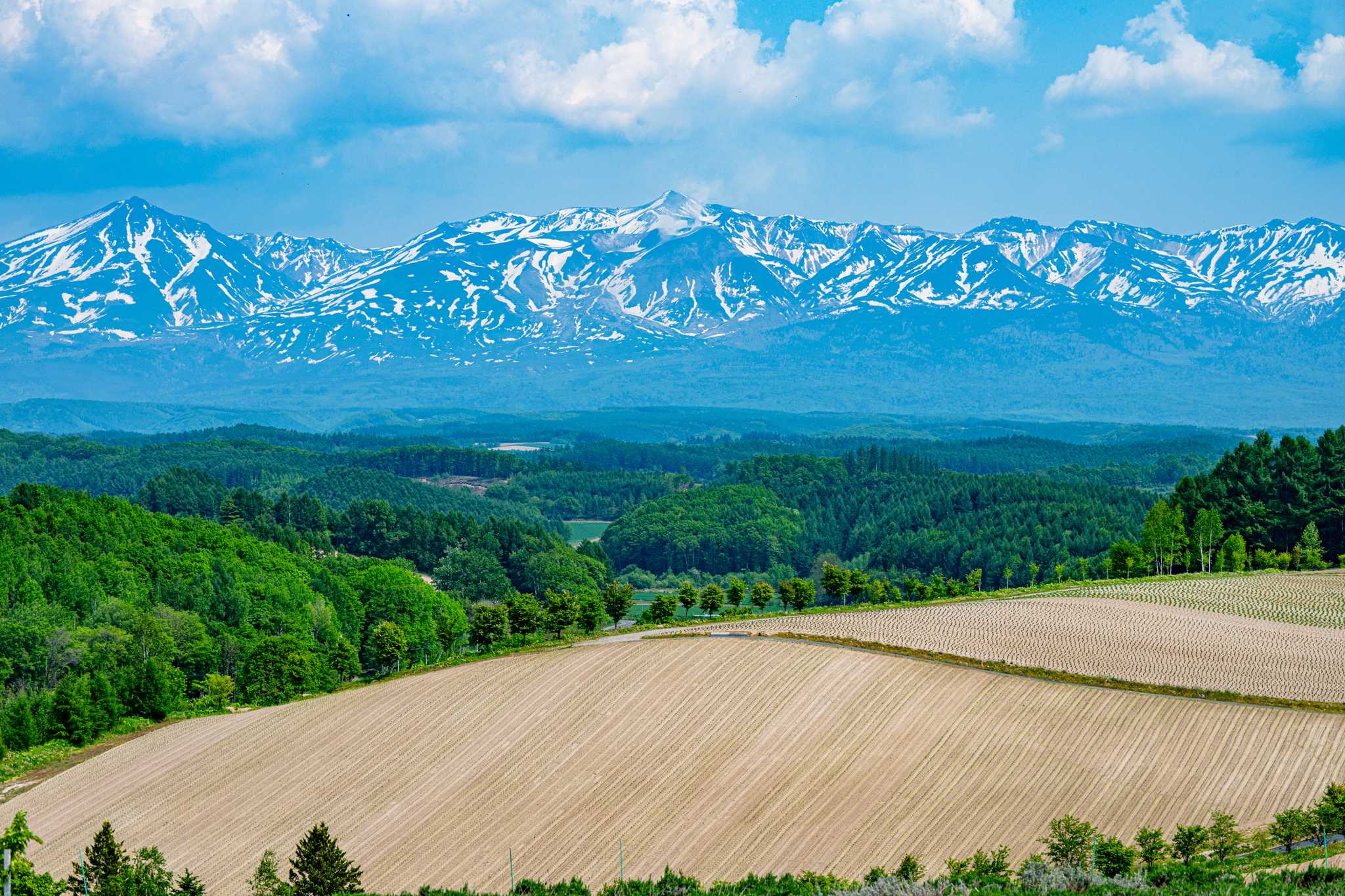 Itinerary stop at Biei on private day trip from Sapporo