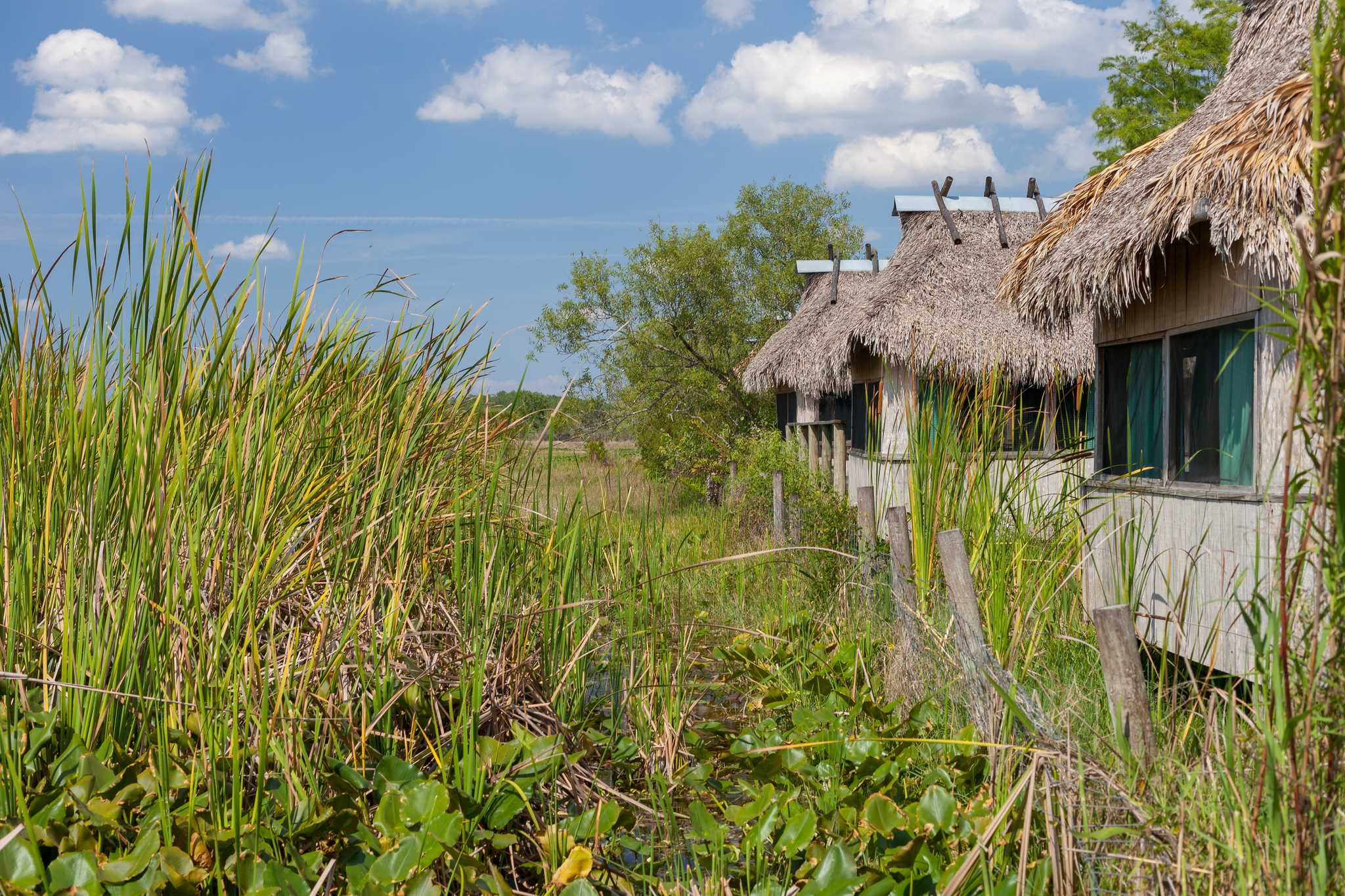 在 从 st-petersburg-fl-us 到 fort-lauderdale-fl-us 的途中，参观 Billie Swamp Safari ，通过 Daytrip