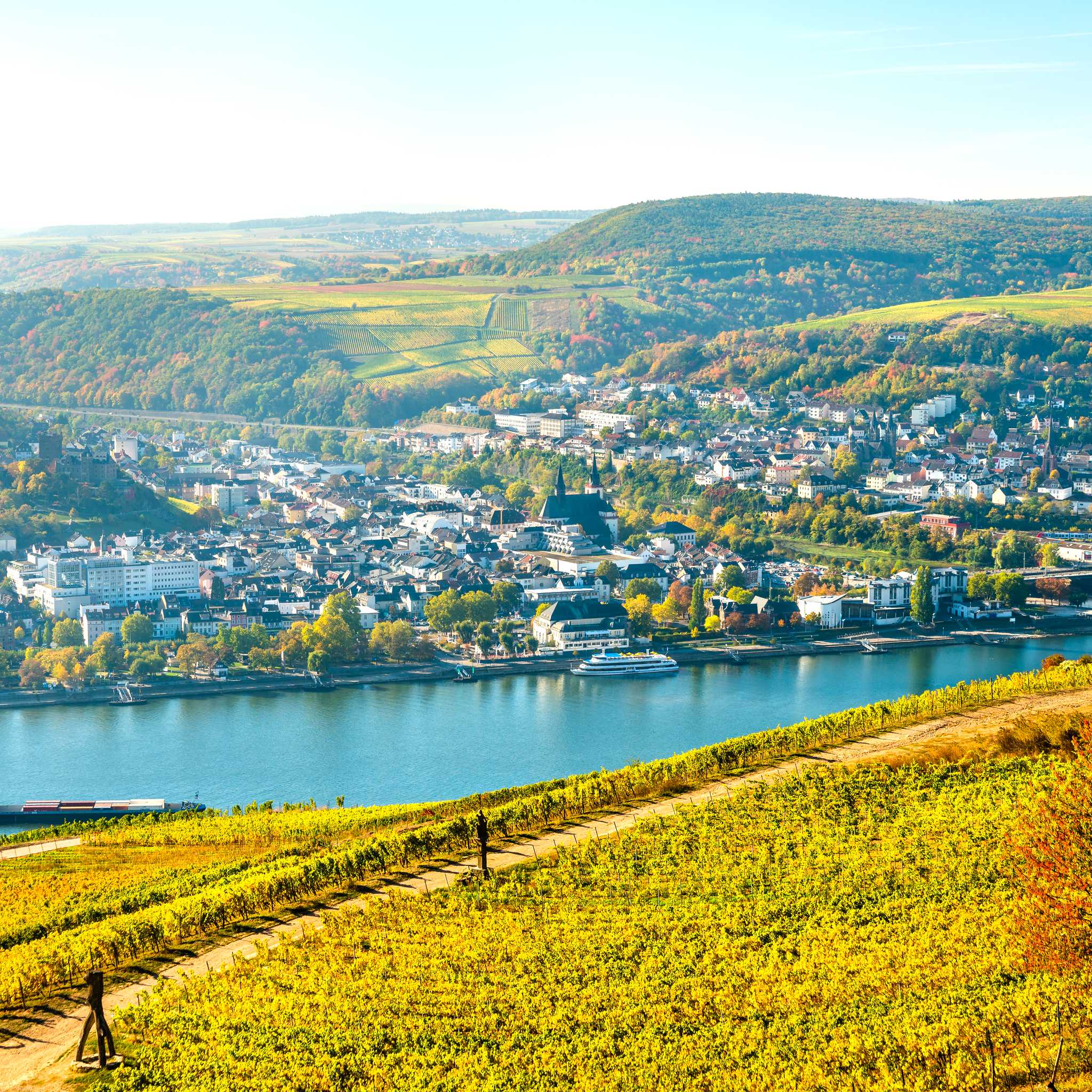 Bingen