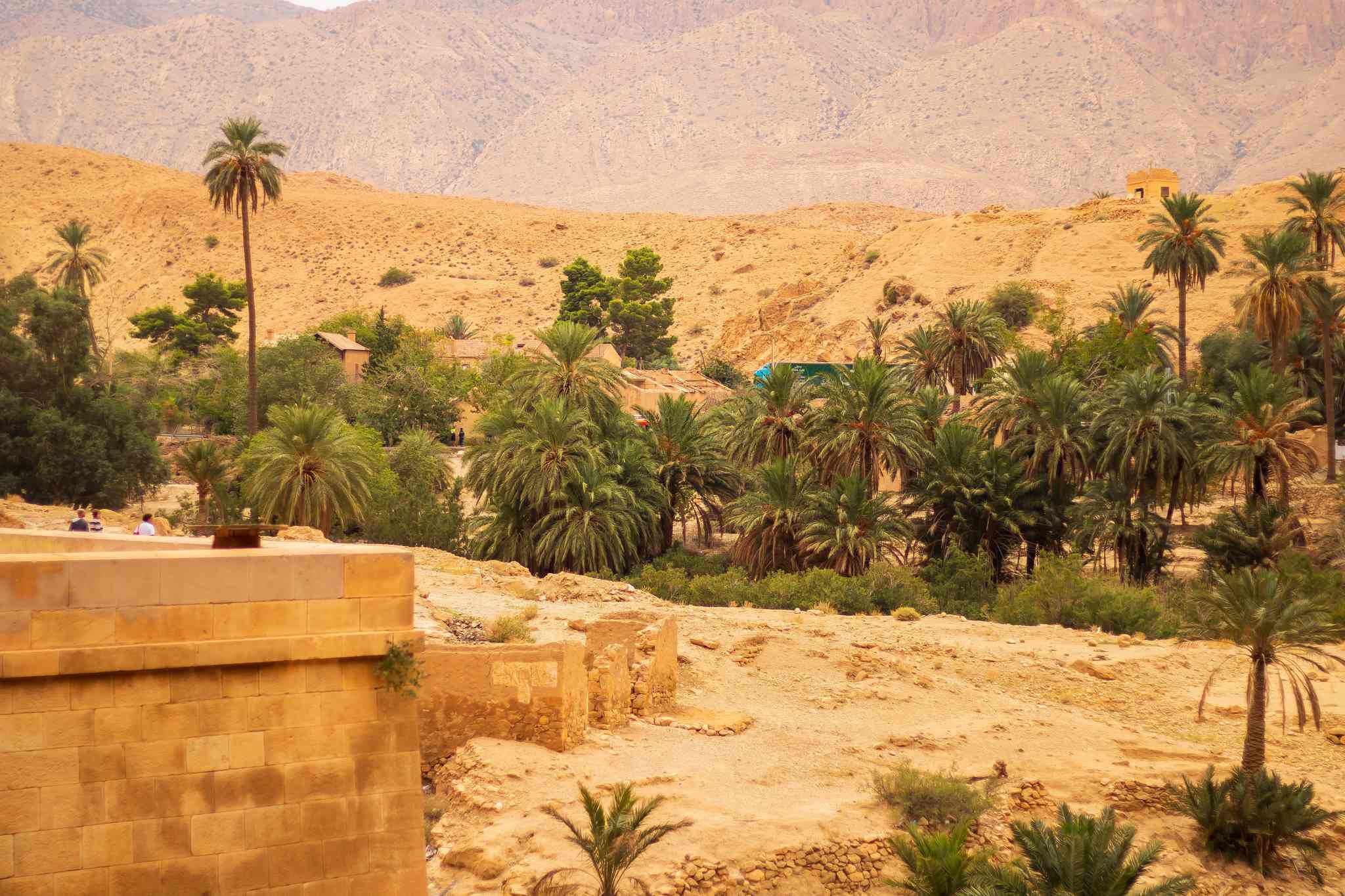 Scenic view of Biskra - private day trip from Tipasa - photo 2
