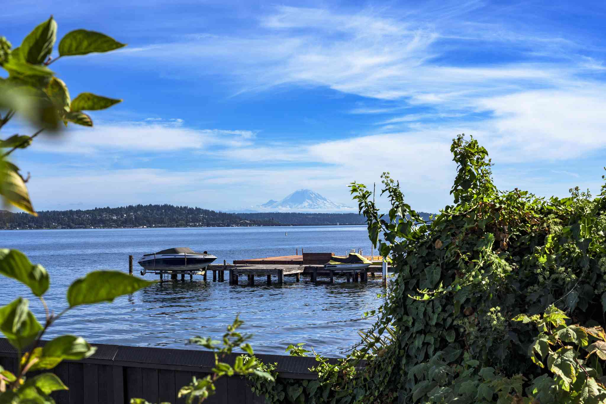 Vue pittoresque de Seattle - excursion privée d'une journée depuis Blaine, WA - photo 6