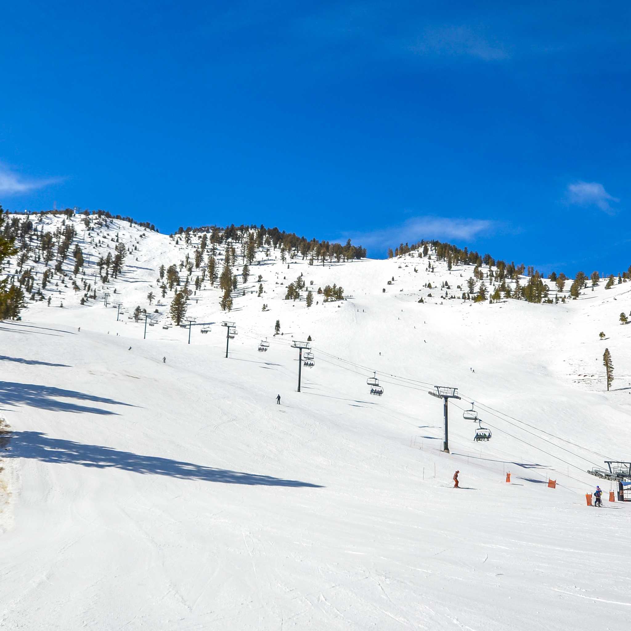 Blue Mountain Resort