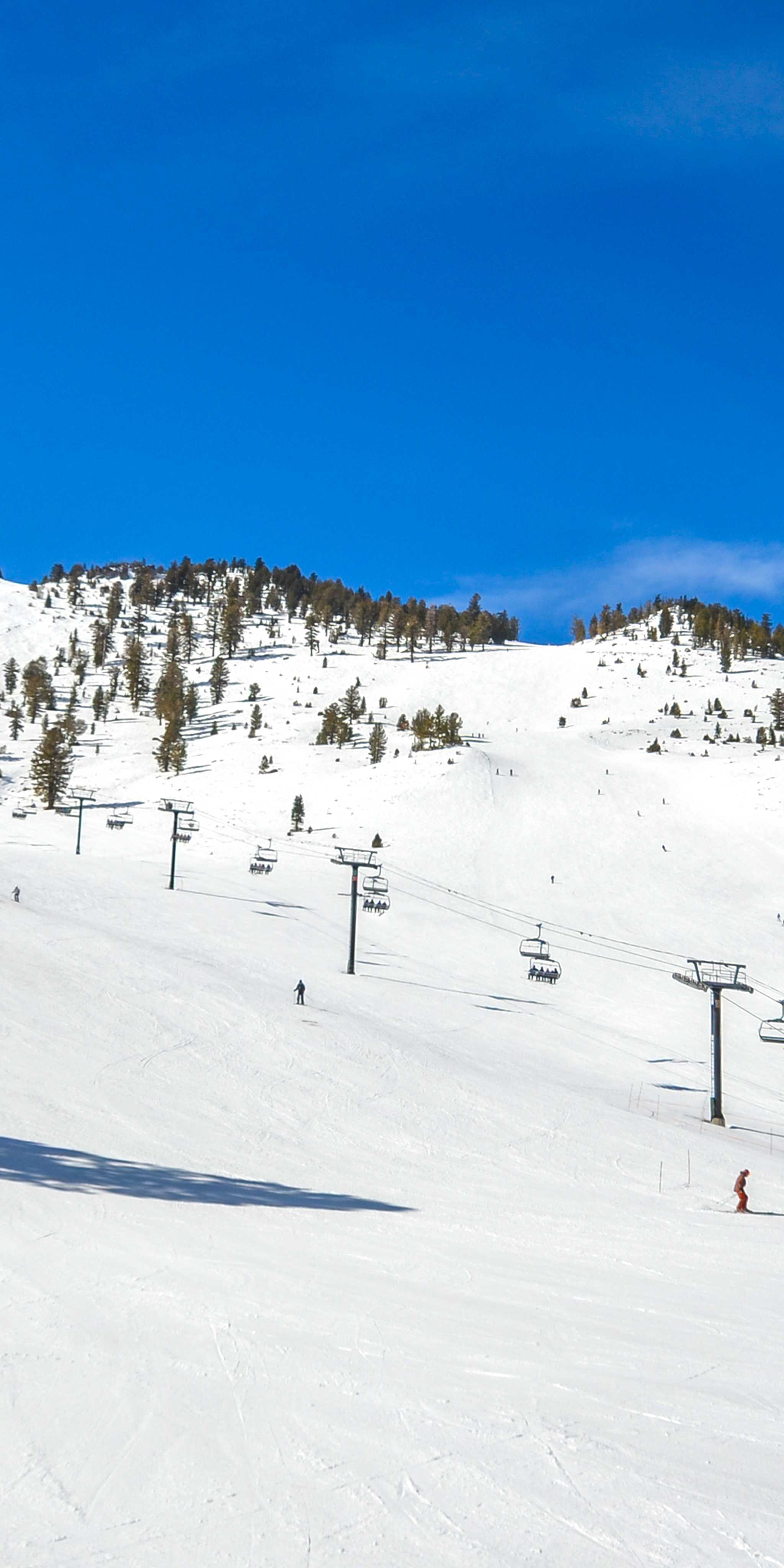 Blue Mountain Resort