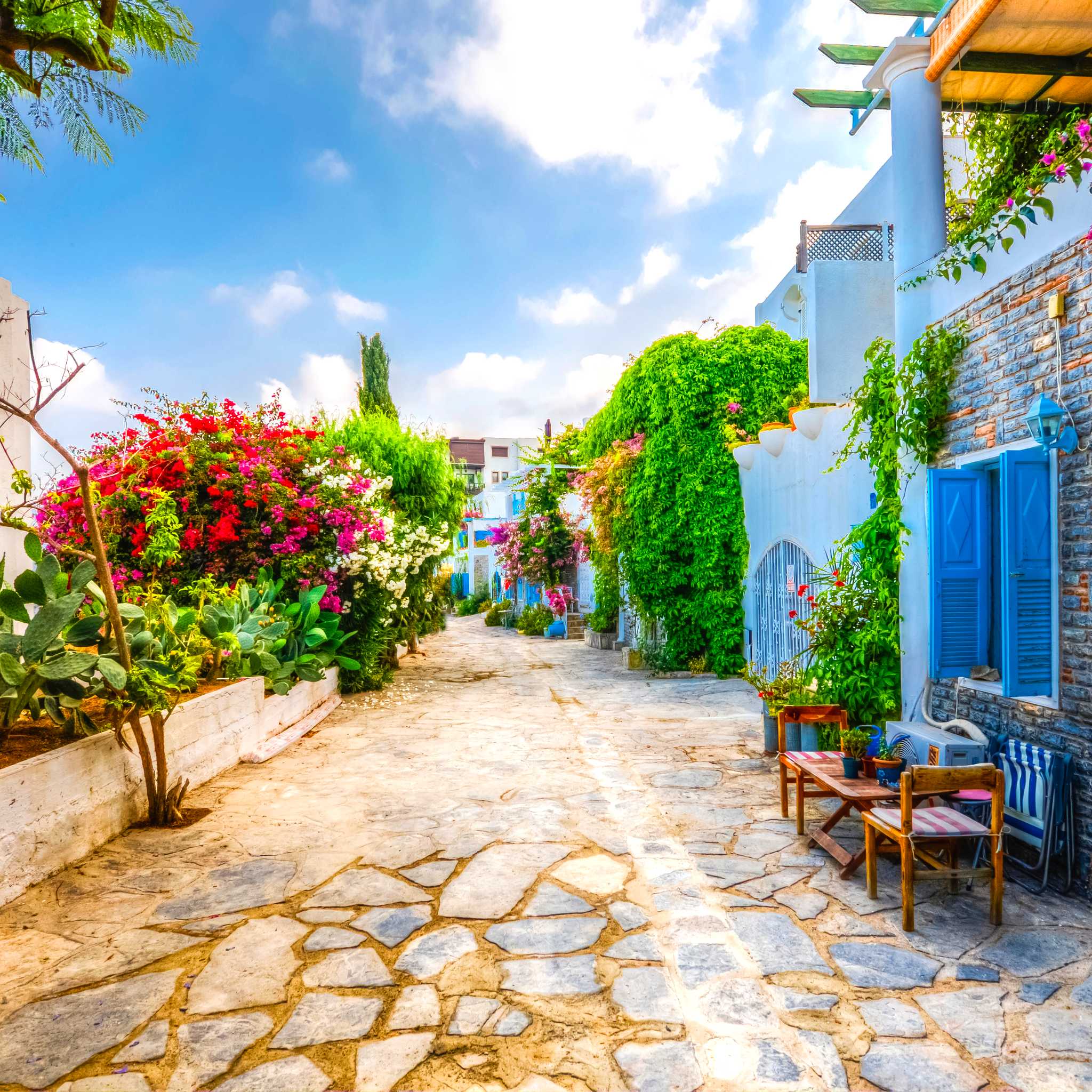 Karatoprak Turgutreis