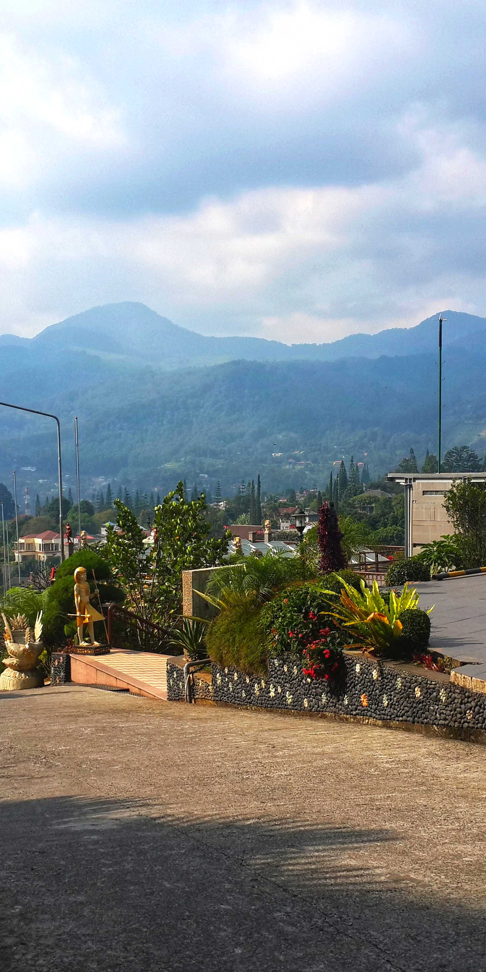 ๋ณด๊ณ ๋ฅด ์ํฐ