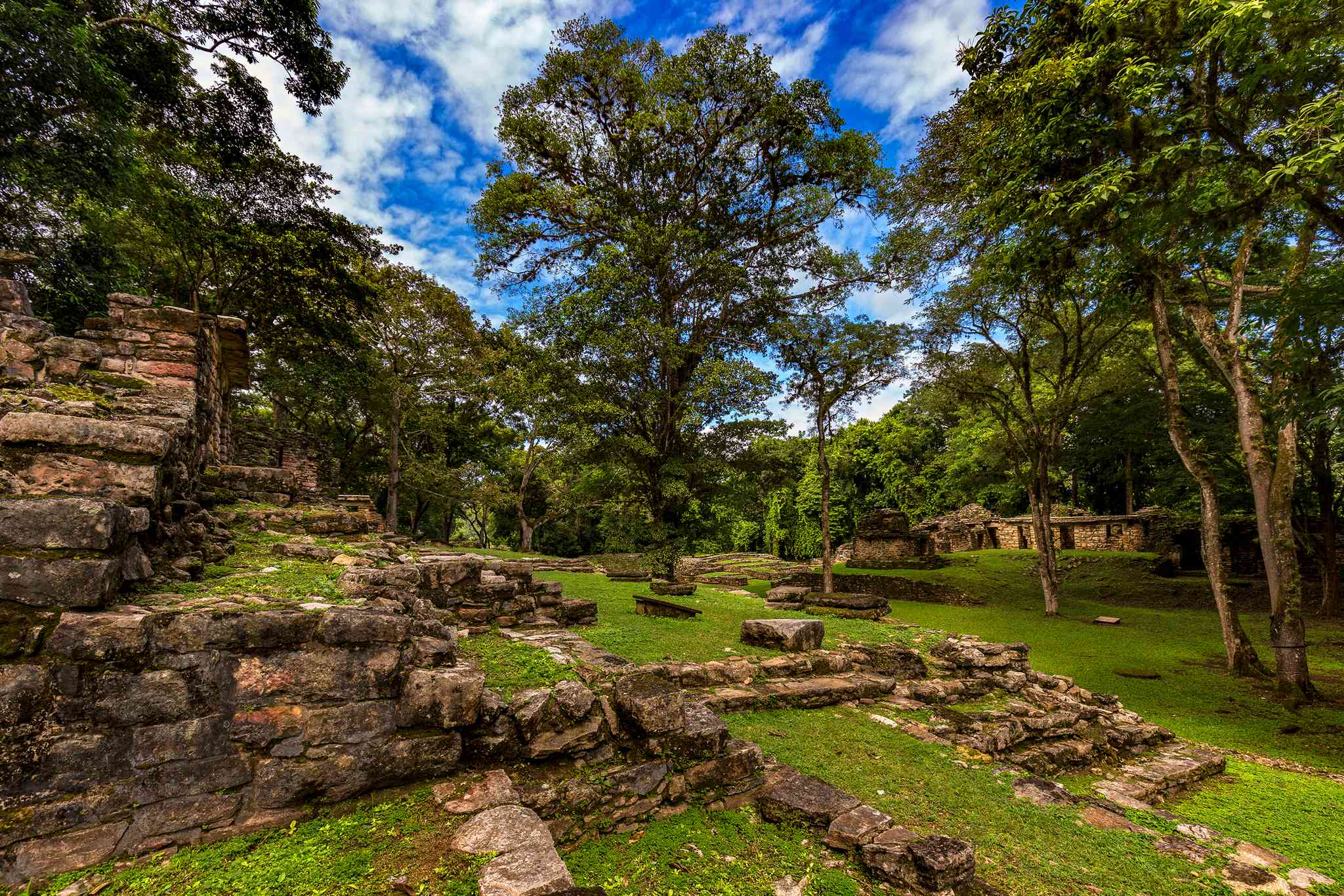 Palenque 的风景 - 从 Bonampak 出发的私人 一日游 - 照片 5