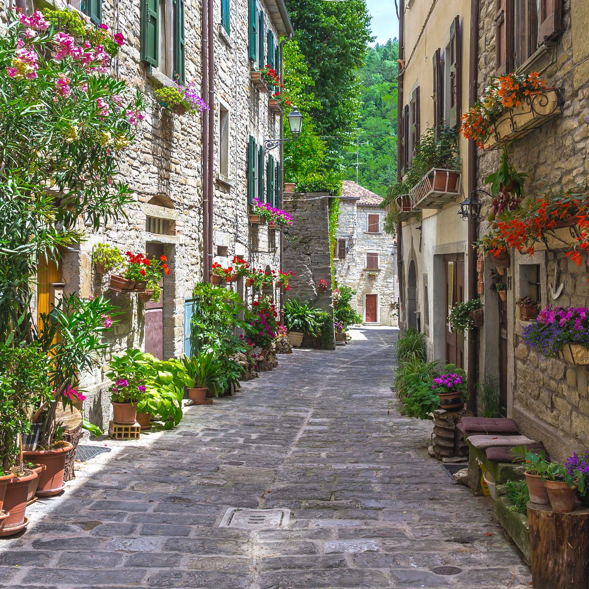 Borgo san Mauro
