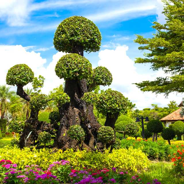 Chiang Mai to San Pa Pao and Lampang: Private day trip