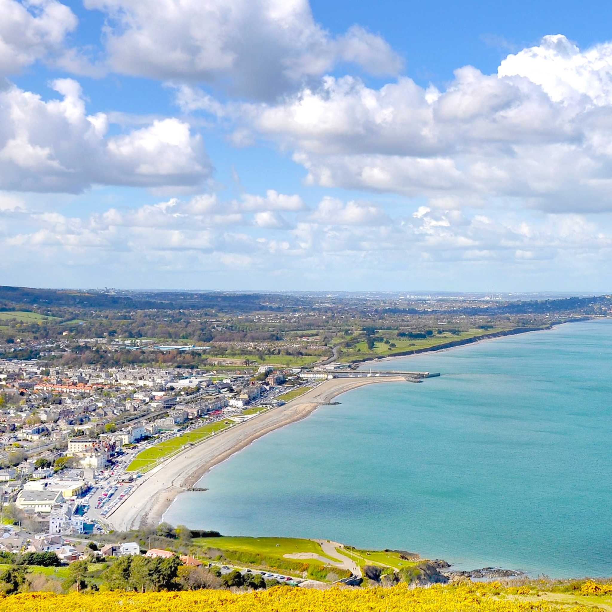 Bray