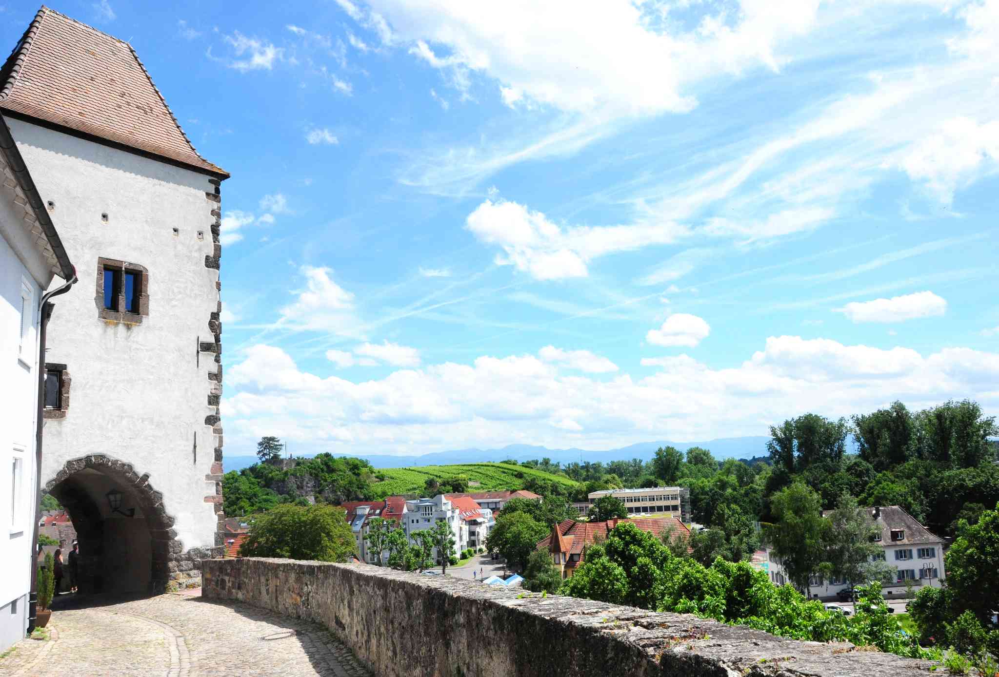 Blick auf die Landschaft von Salzburg - private Tagesreise von Breisach - Foto 9