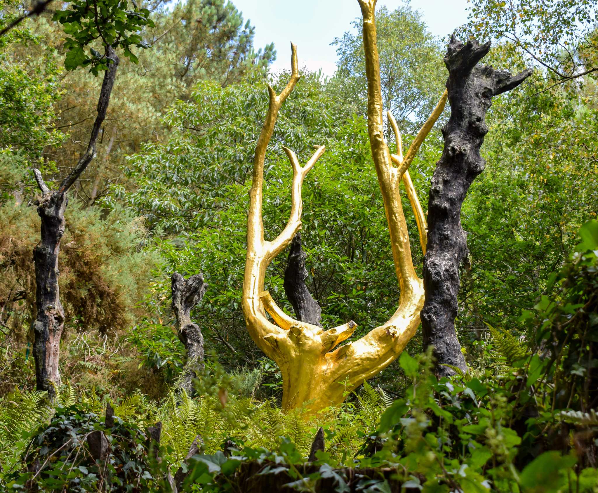 Visit Broceliande Forest on the way from rennes-fr to vannes-fr with Daytrip
