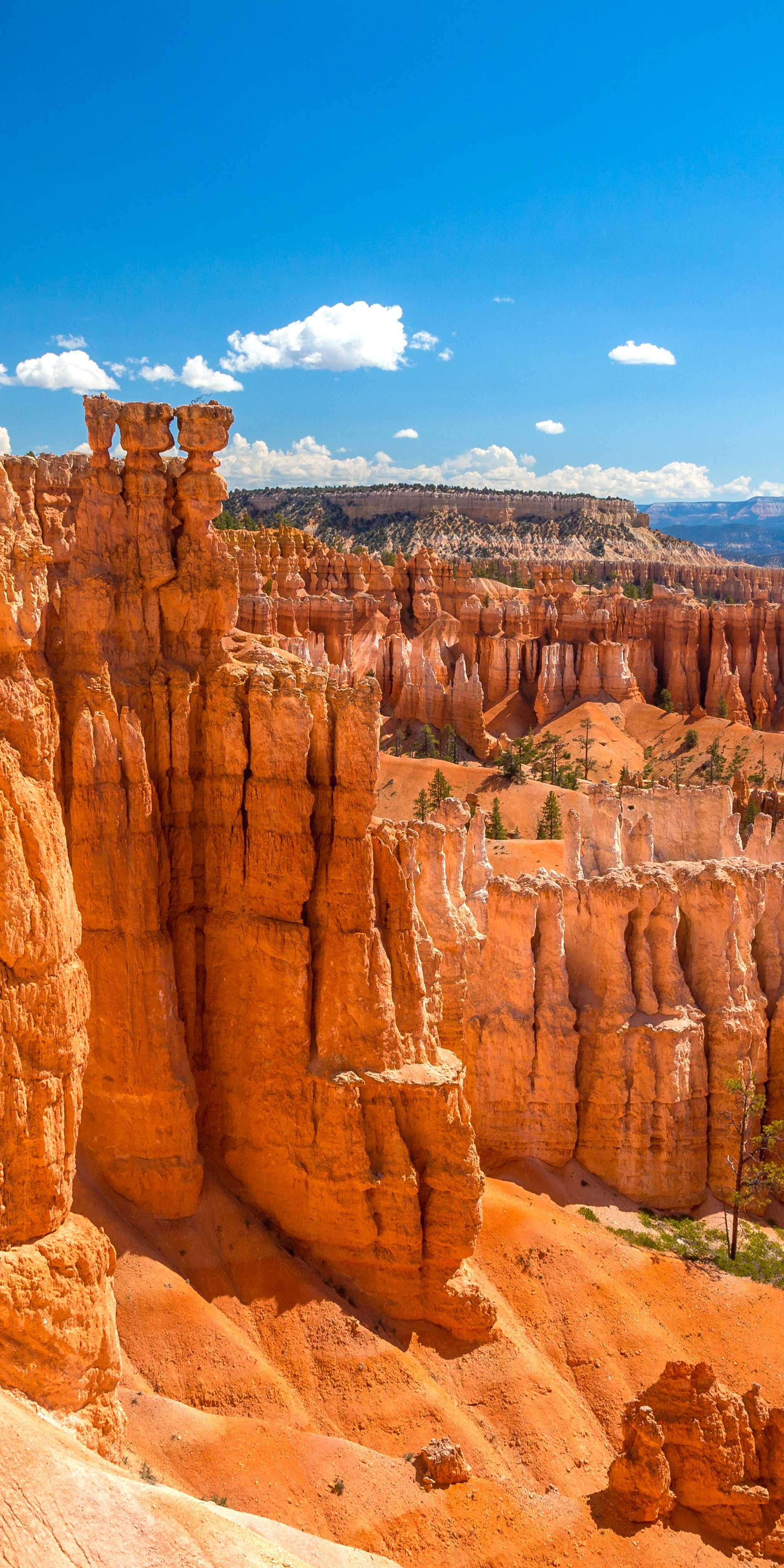Bryce Canyon