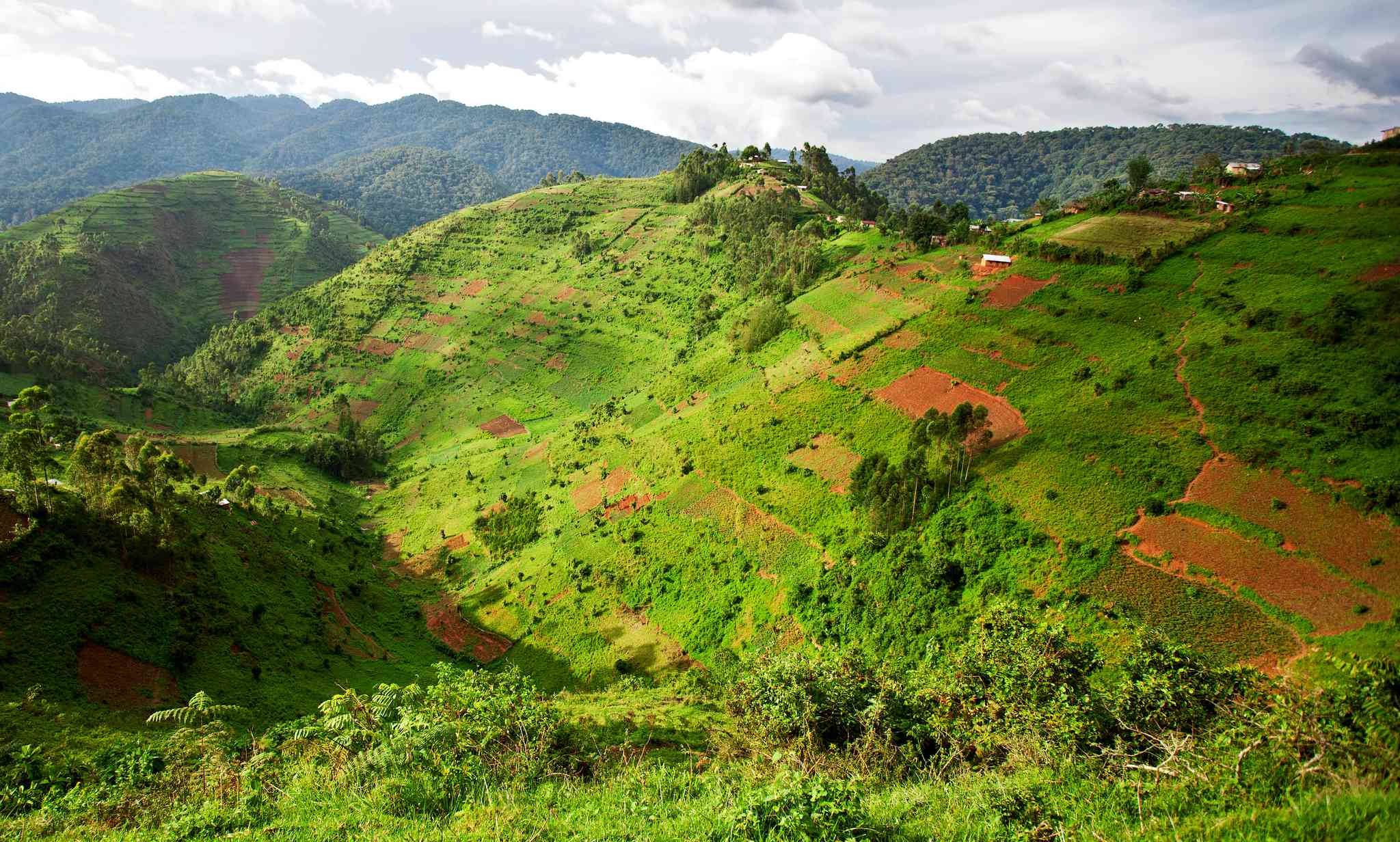 Vacker vy över Kigali - privat dagsutflykt från Bwindi Impenetrable National Park - foto 4