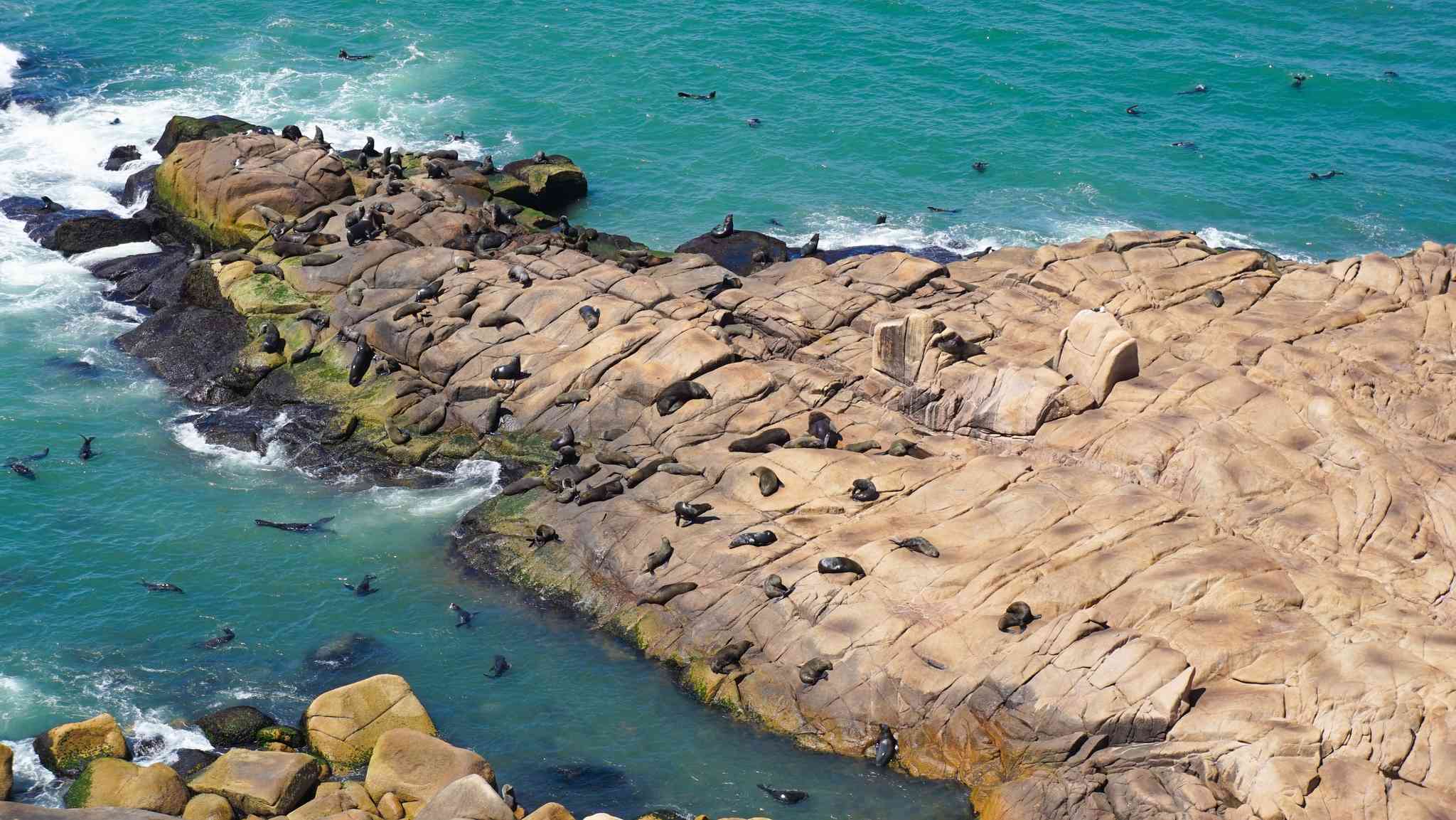Blick auf die Landschaft von Montevideo - private Tagesreise von Cabo Polonio - Foto 4