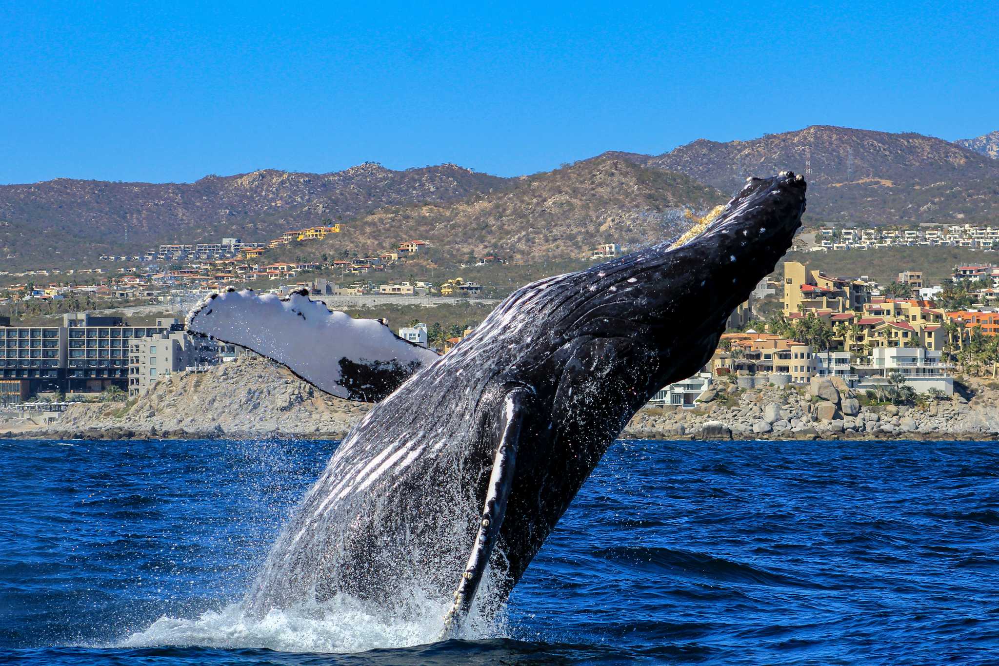 Parada del itinerario en Cabo San Lucas en excursión privada desde San Jose del Cabo