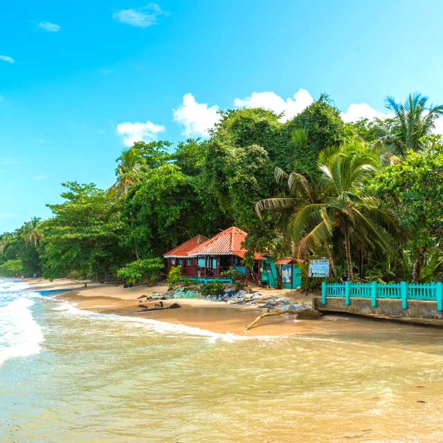 Limon to Cahuita and Puerto Viejo: Private day trip