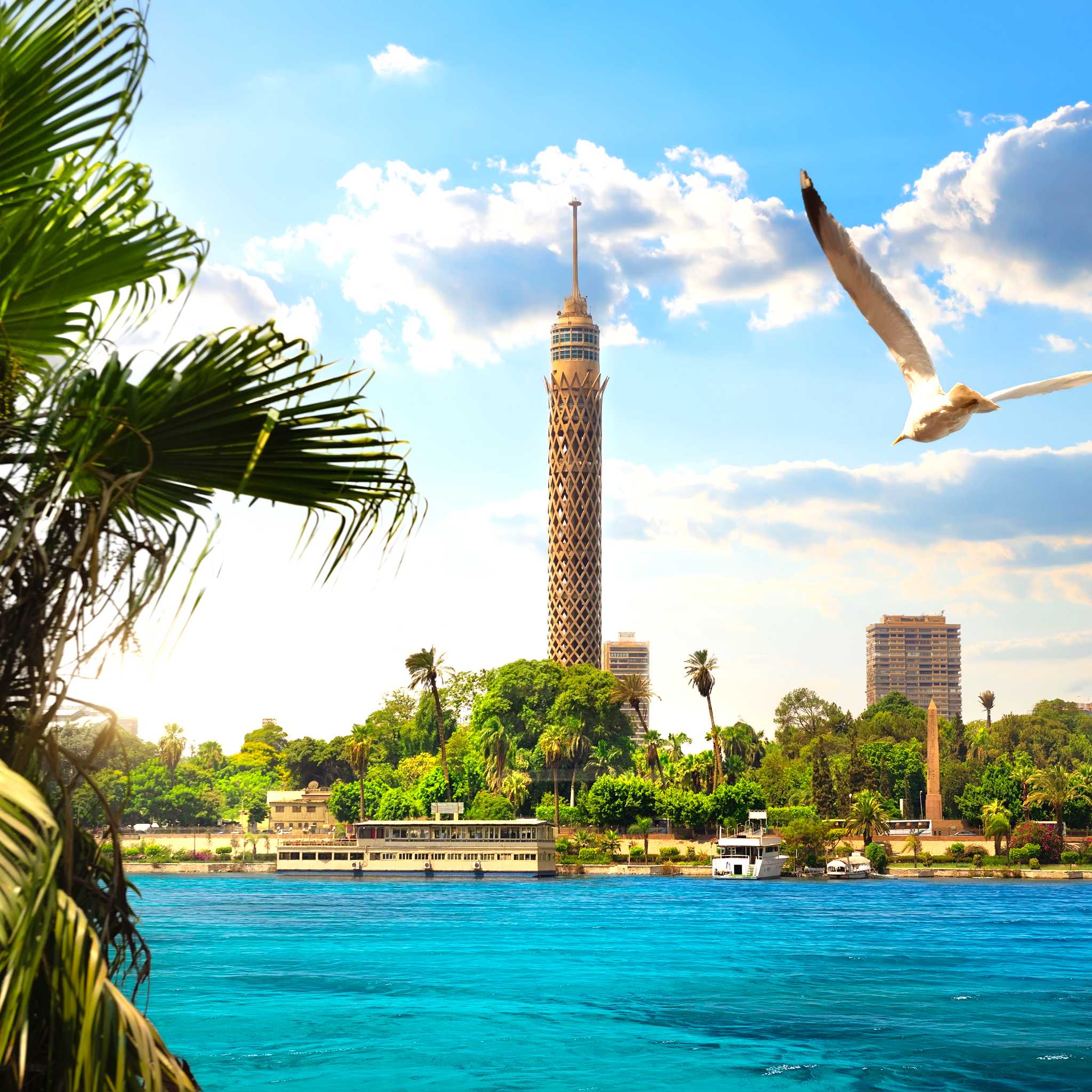 Private car transfers in Egypt from Cairo