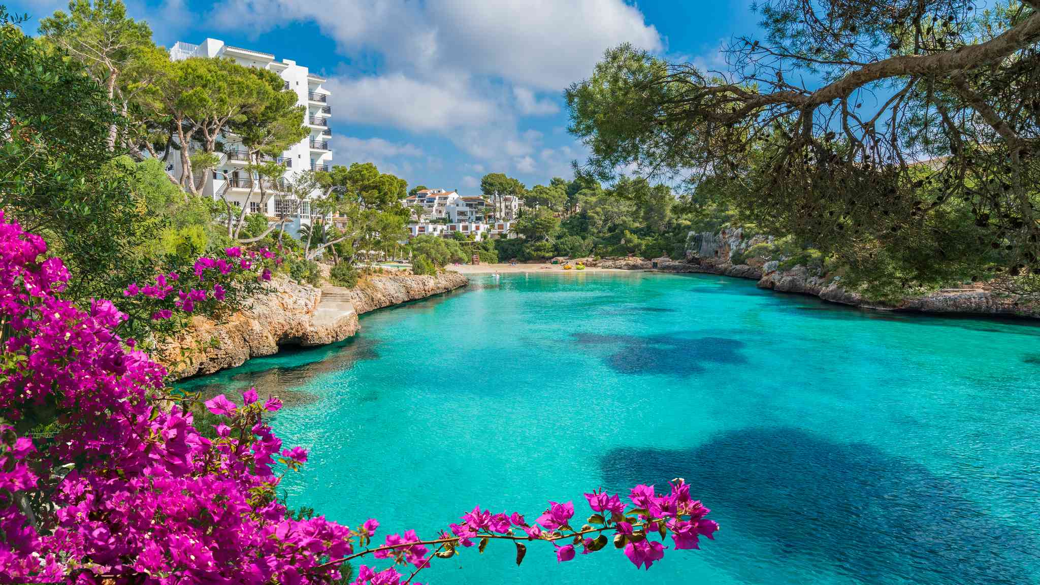 Palma de Mallorca 의 경치 - 칼라 도르 에서 출발하는 개인 day trip - 사진 6