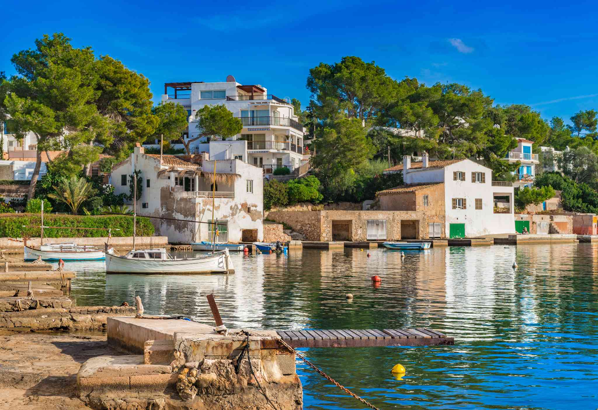 Palma de Mallorca 의 경치 - 칼라 도르 에서 출발하는 개인 day trip - 사진 7