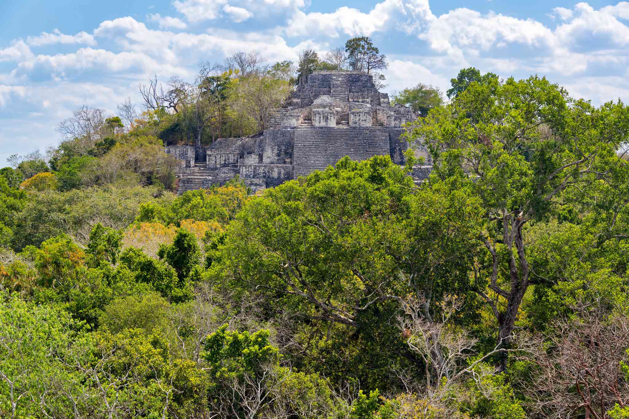Scenic view of Calakmul - private day trip from Bacalar - photo 2
