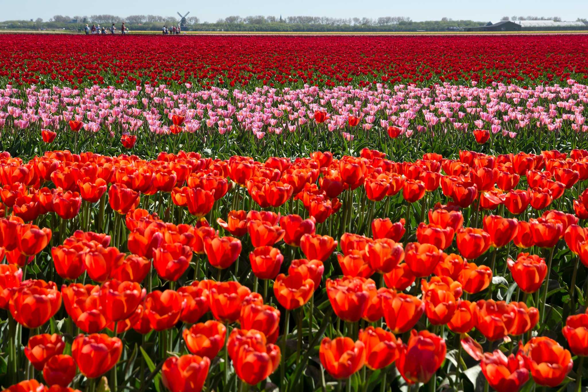 Itinerary stop at Callantsoog on private day trip from Amsterdam