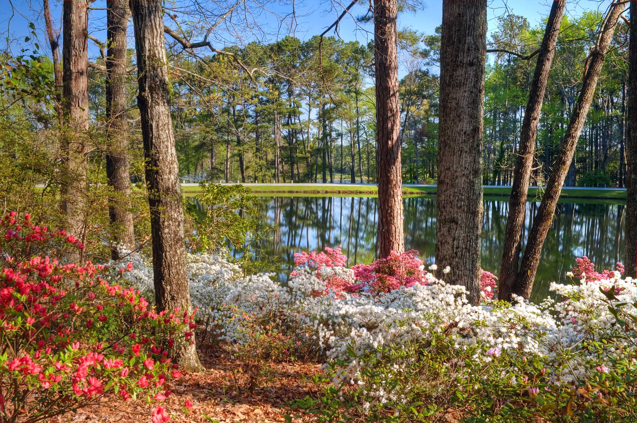 Visitez Callaway Gardens sur le chemin de pensacola-fl-us à atlanta-ga-us avec Daytrip